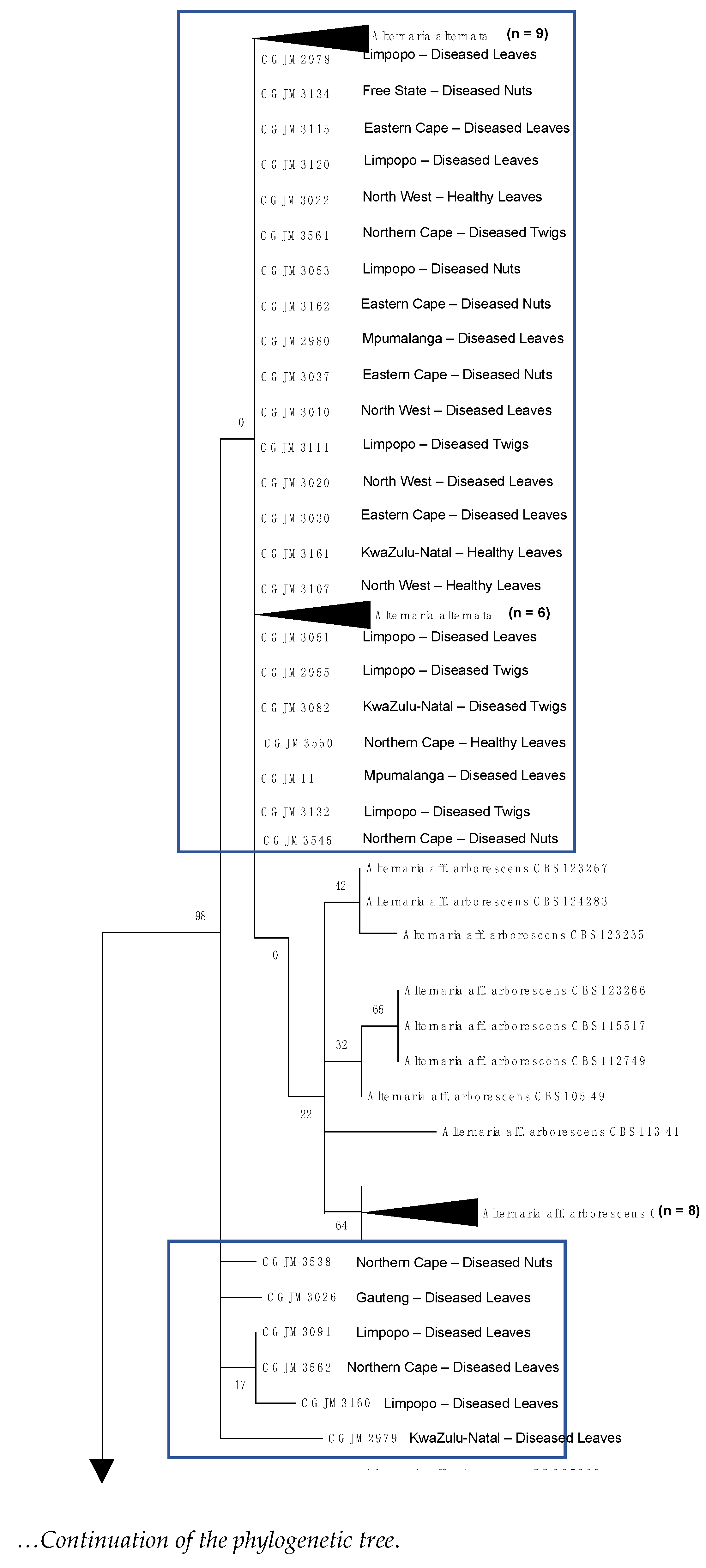 Genes 14 01115 g005a Genes 14 01115 g005a
