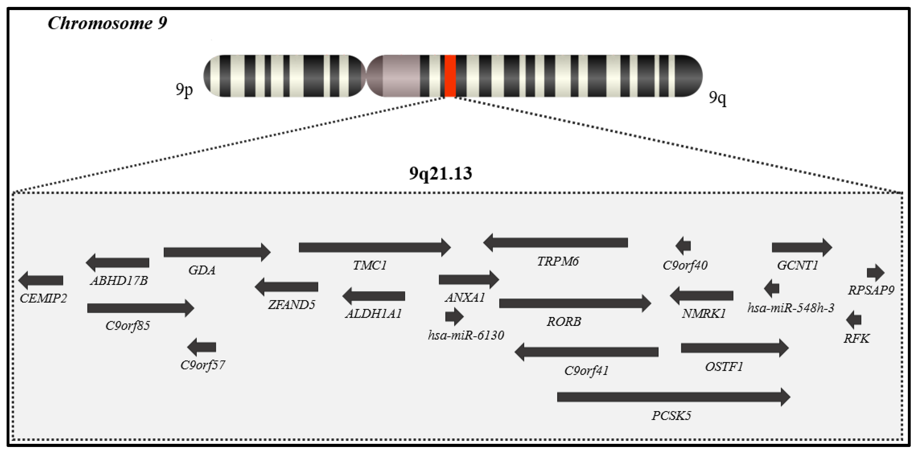 New insights into genetic variant spectrum and genotype–phenotype