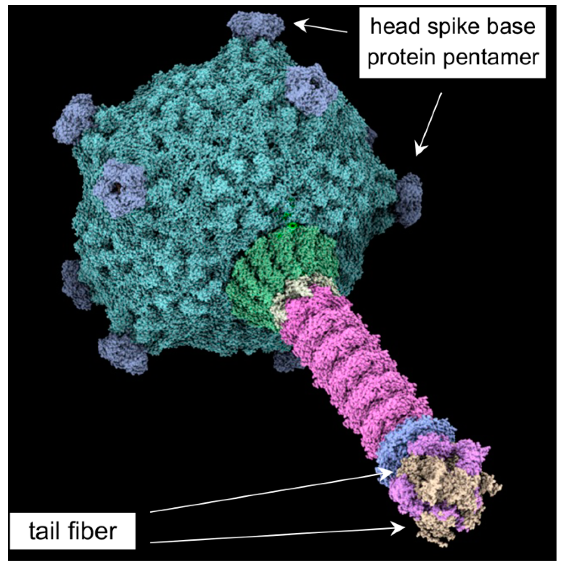 Genes 14 01124 g001 Genes 14 01124 g001