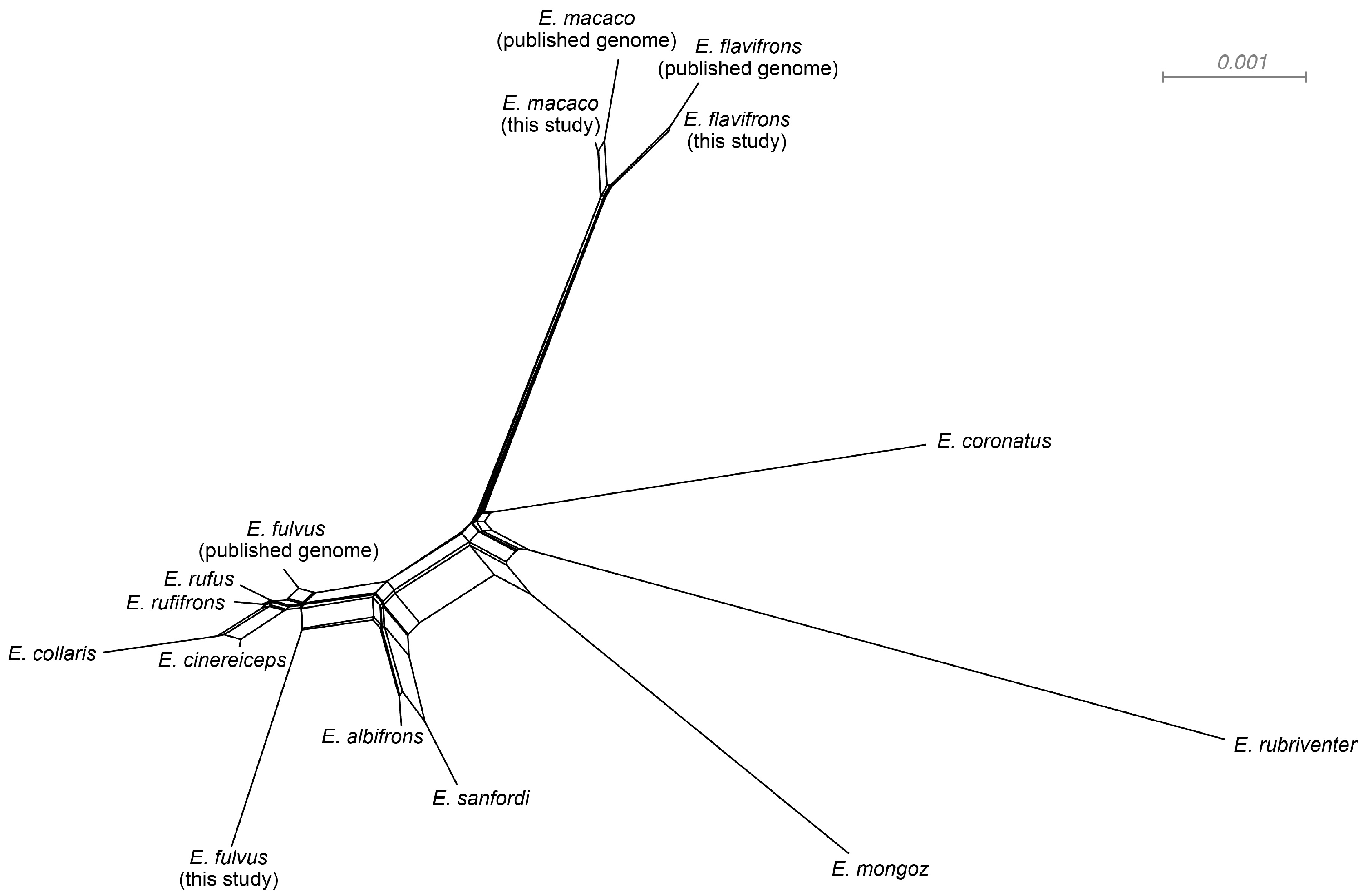 Genes 14 01130 g003 Genes 14 01130 g003