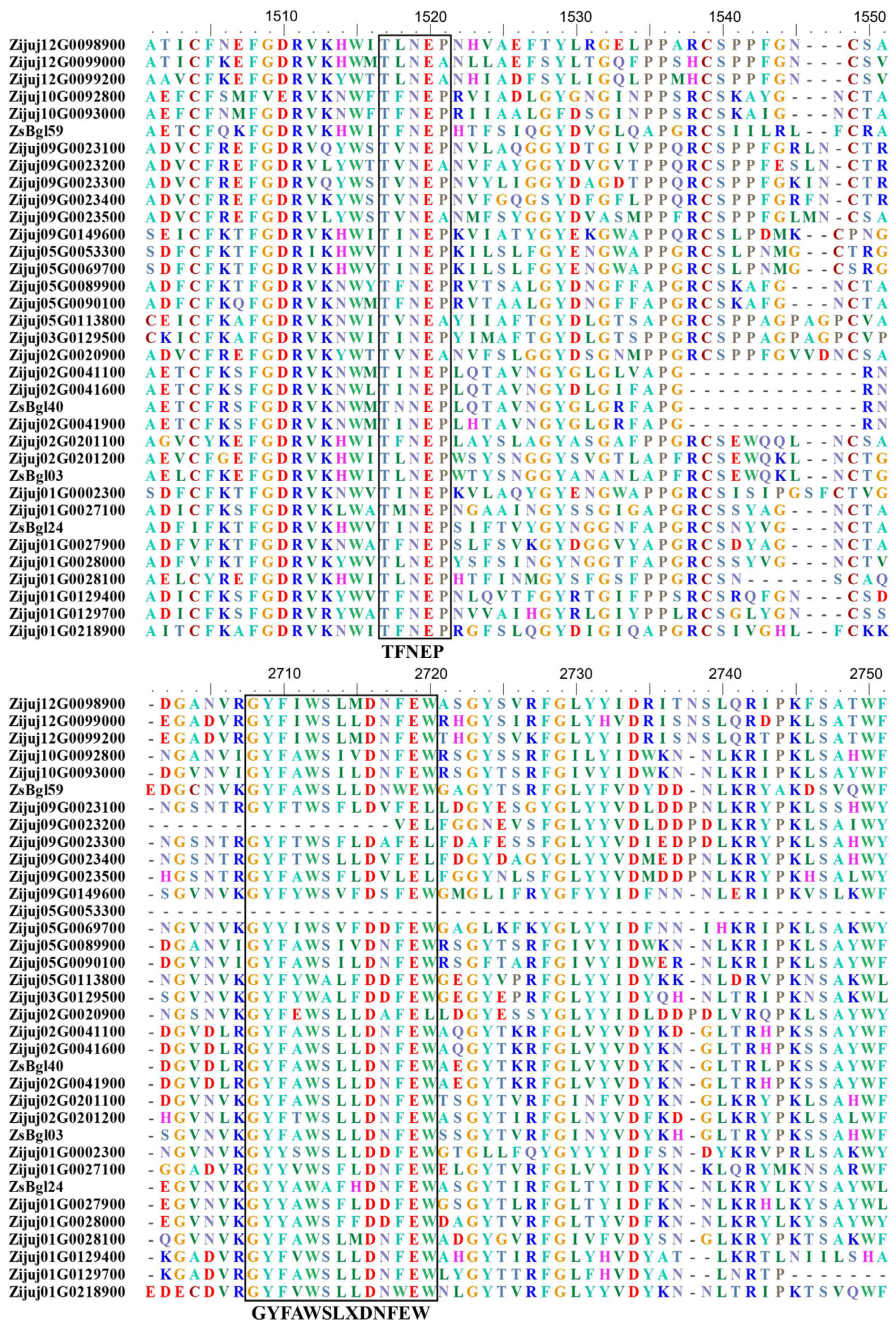 Genes 14 01135 g001 Genes 14 01135 g001