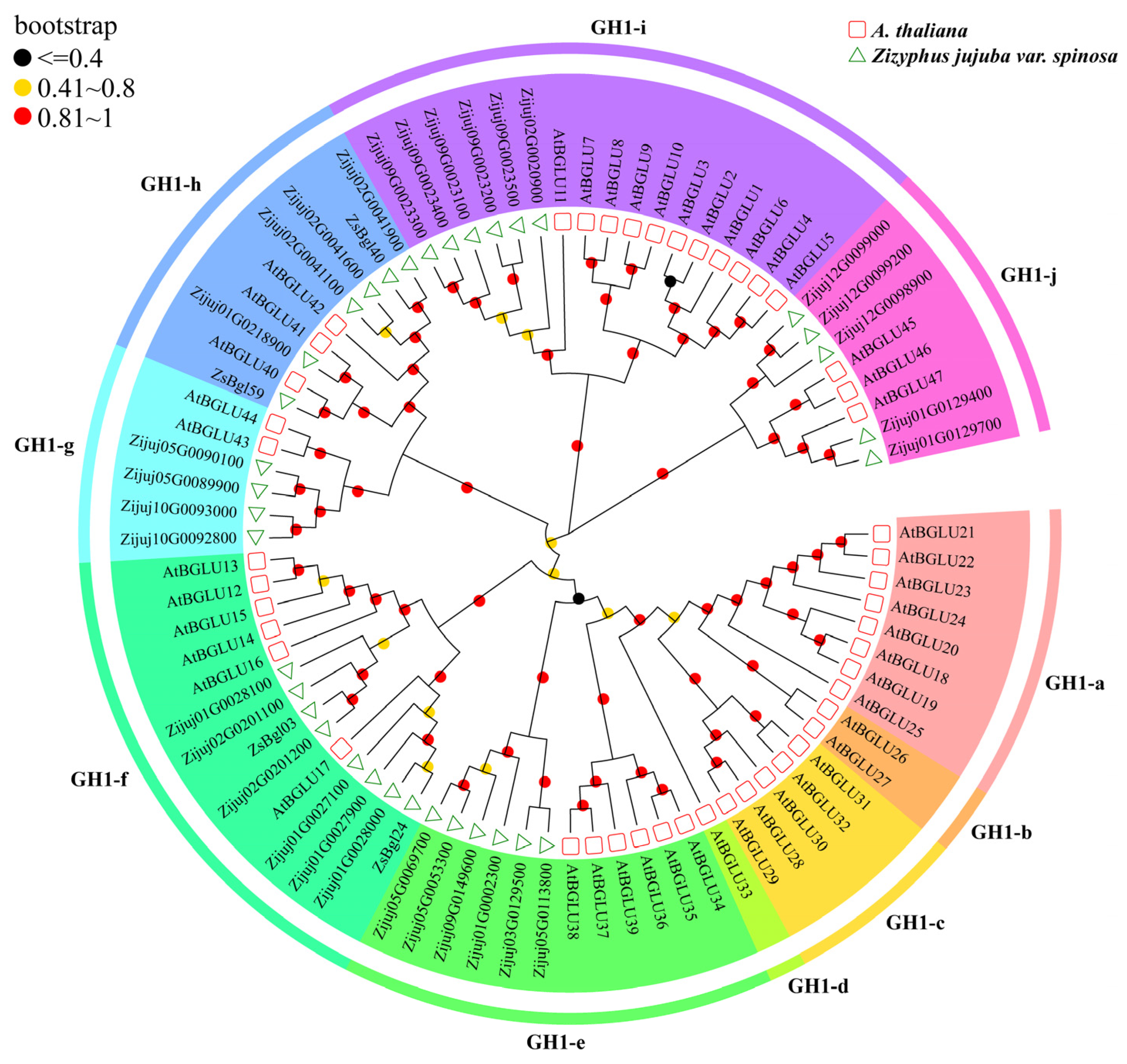 Genes 14 01135 g002 Genes 14 01135 g002