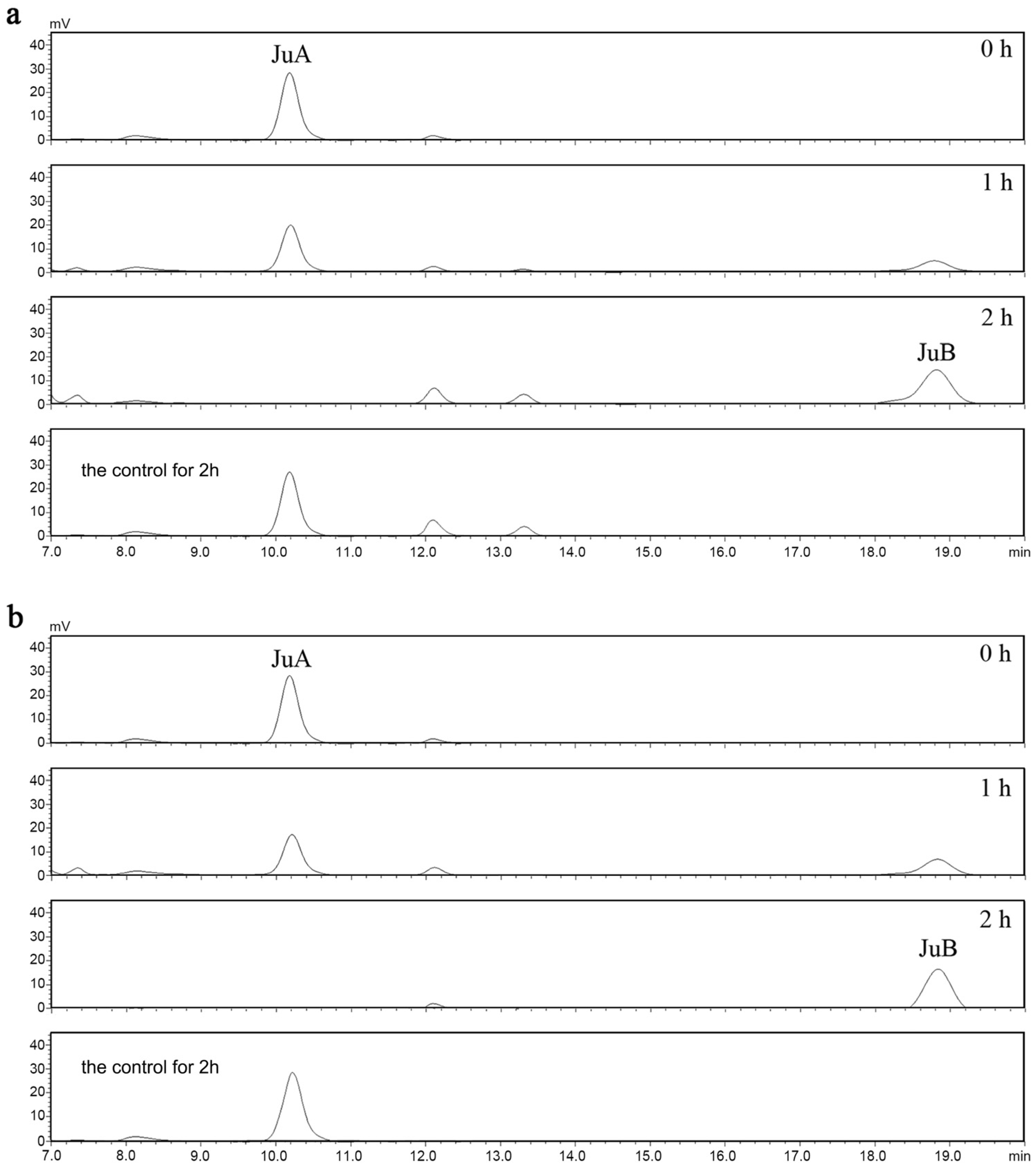 Genes 14 01135 g003 Genes 14 01135 g003