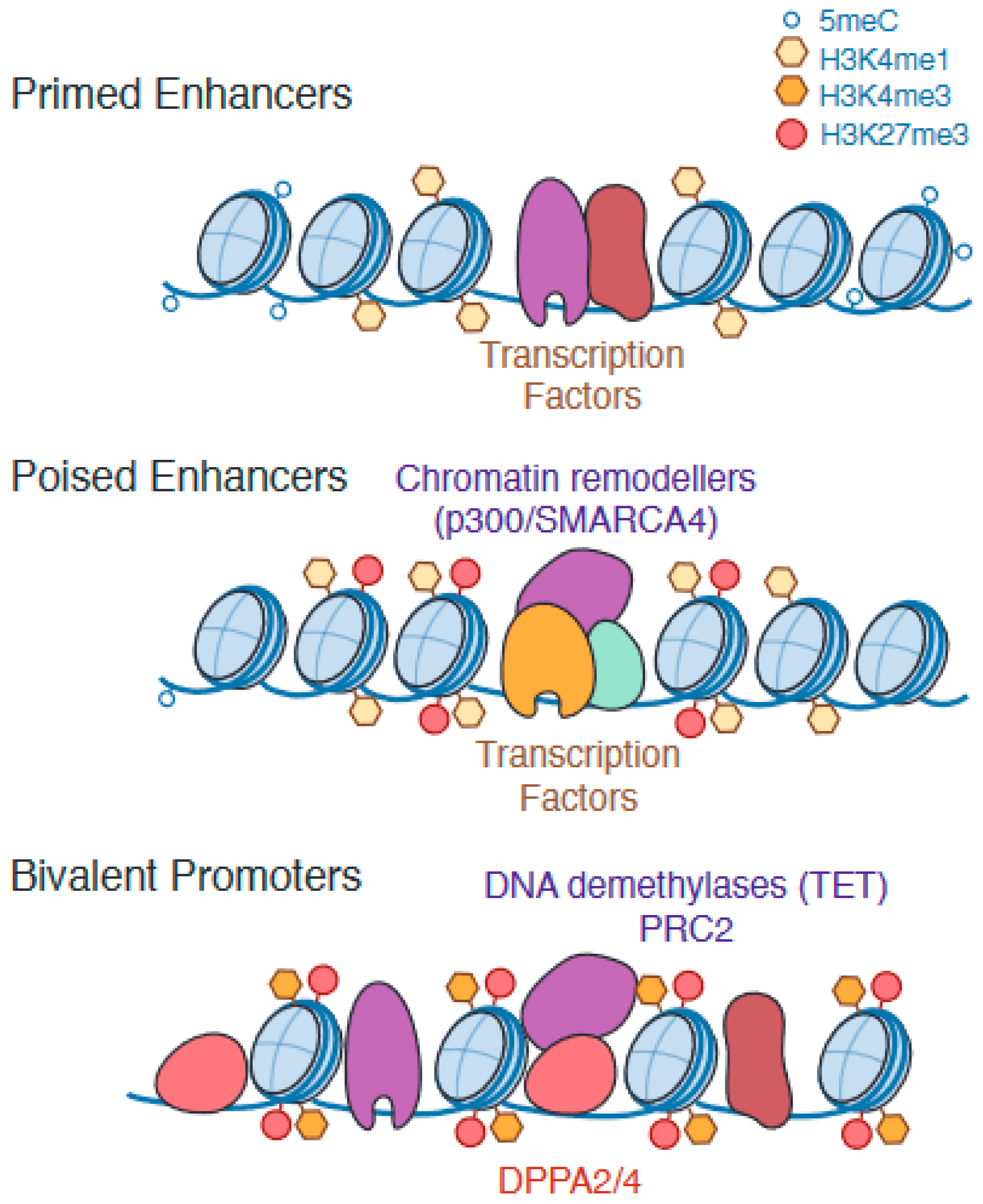 Genes 14 01143 g002 Genes 14 01143 g002