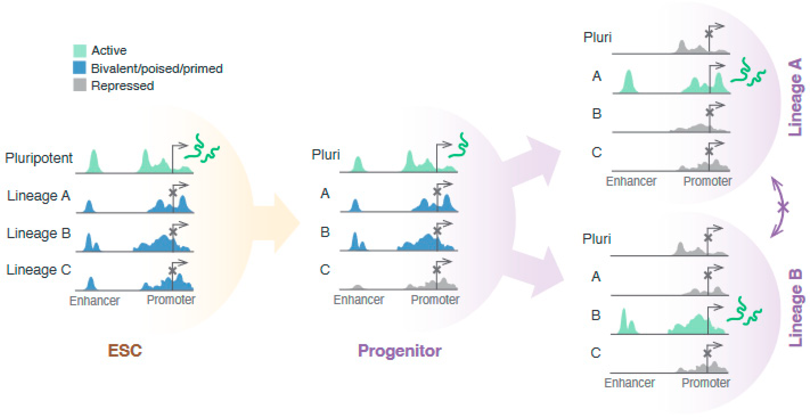 Genes 14 01143 g003 Genes 14 01143 g003