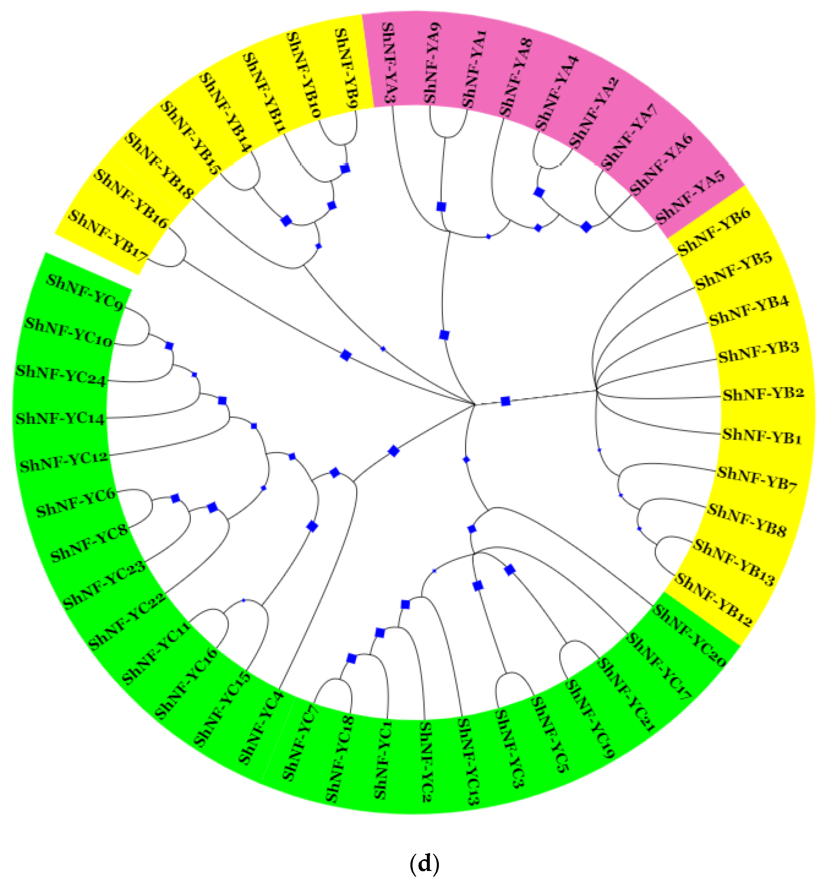 Genes 14 01147 g006c