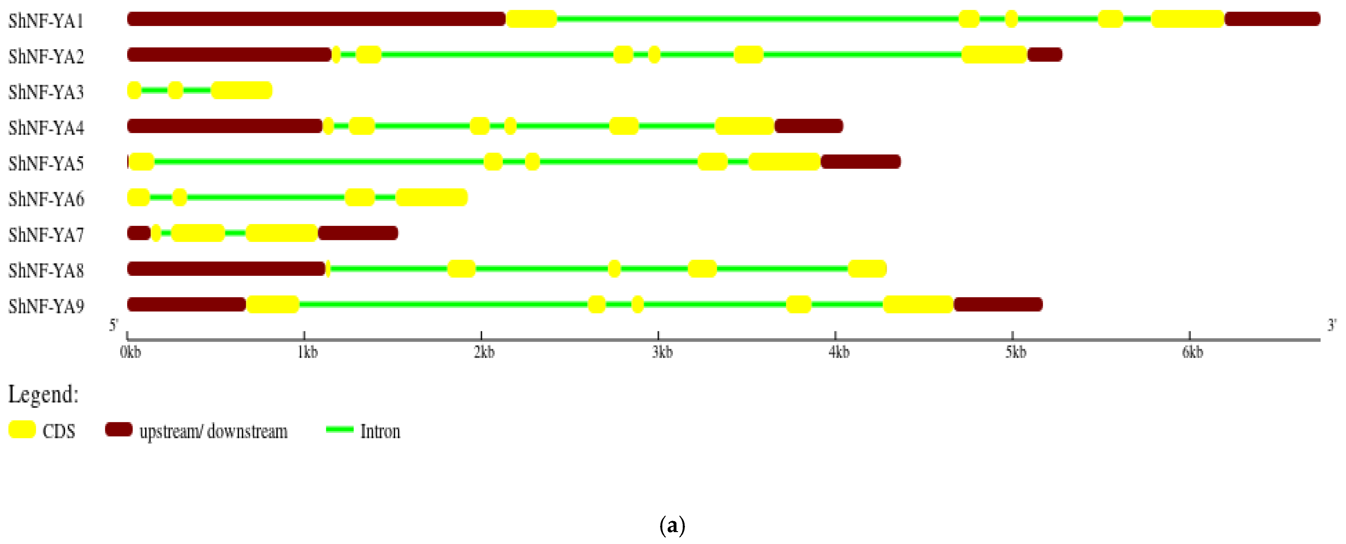 Genes 14 01147 g007a