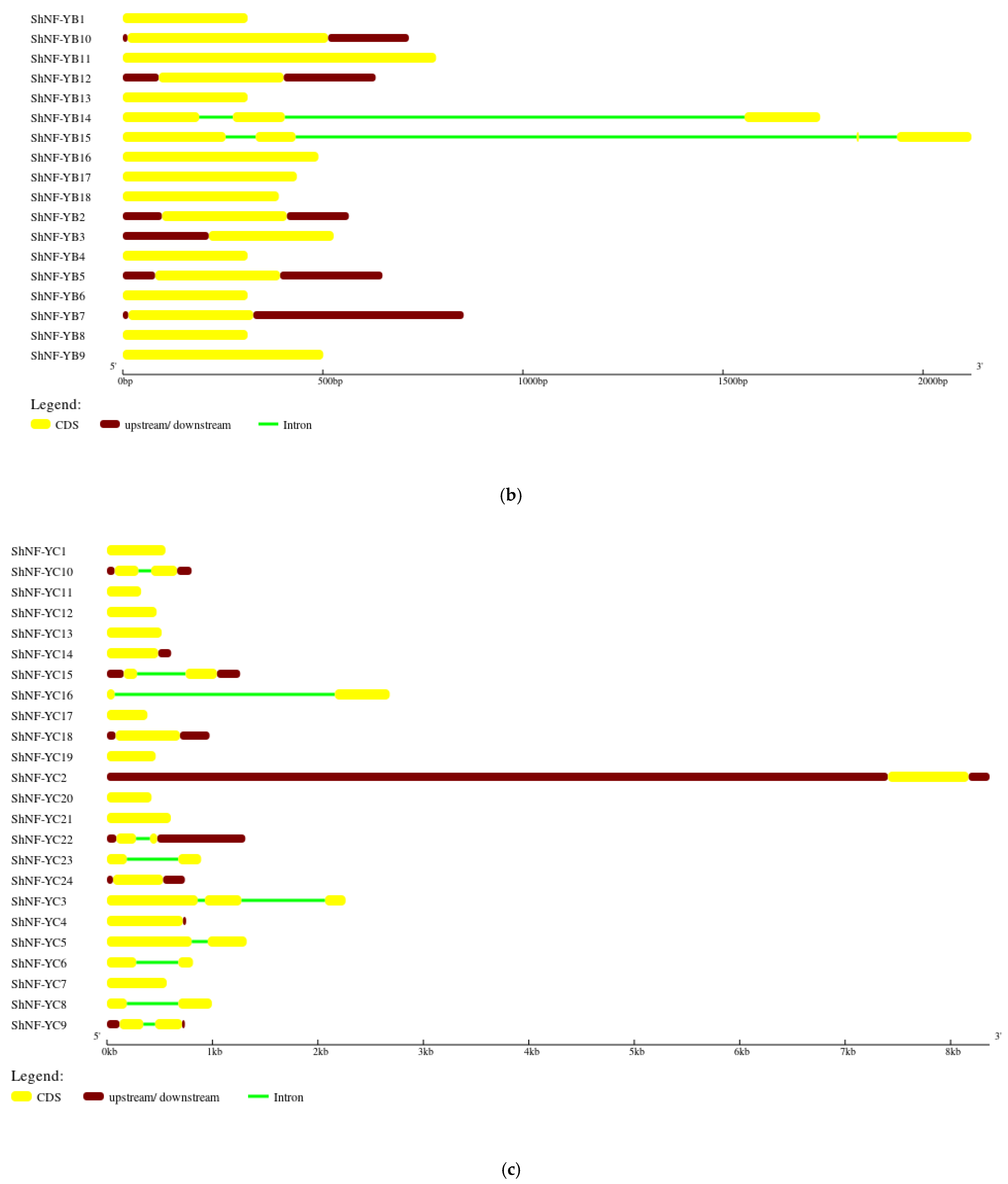 Genes 14 01147 g007b