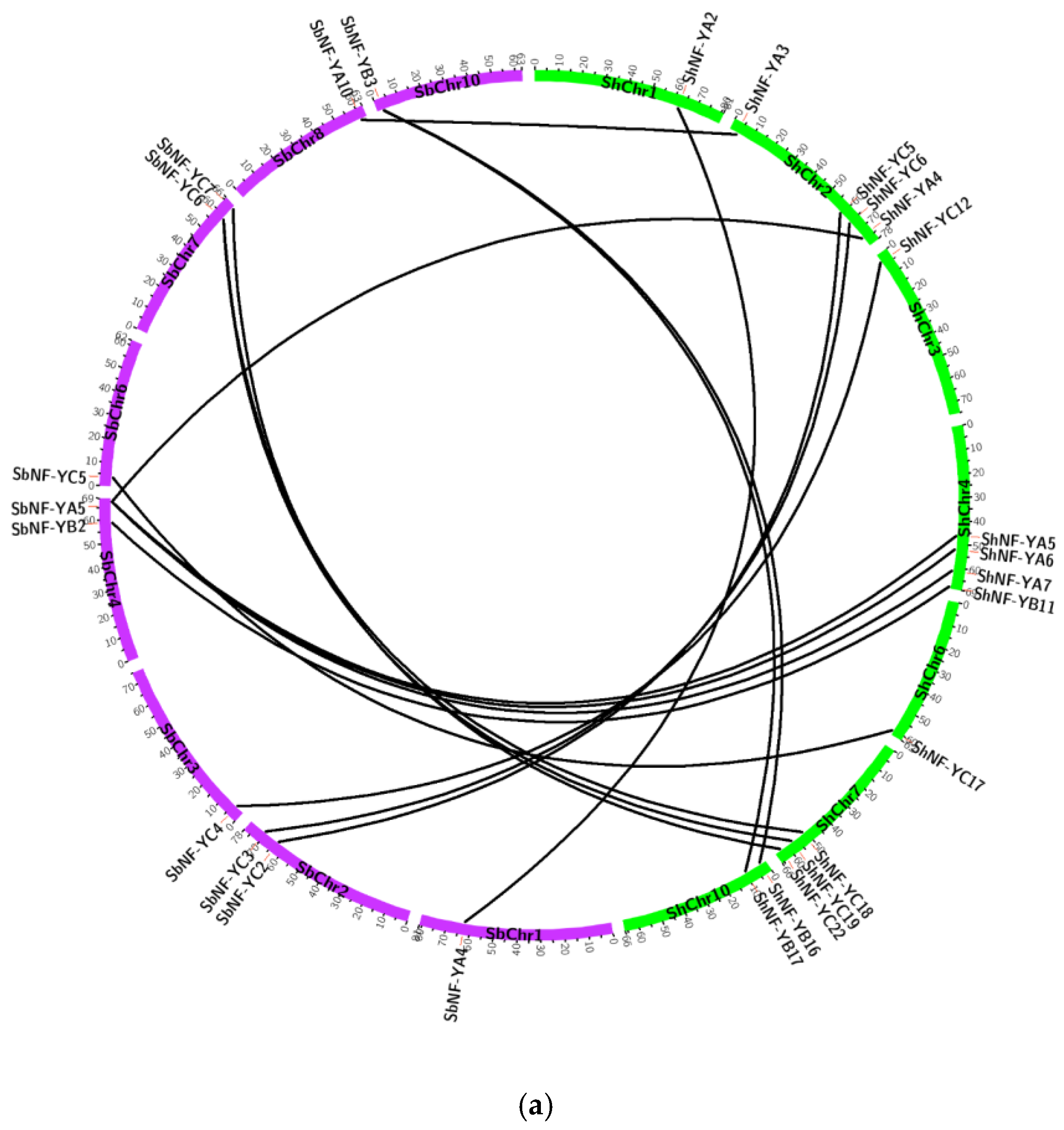 Genes 14 01147 g009a