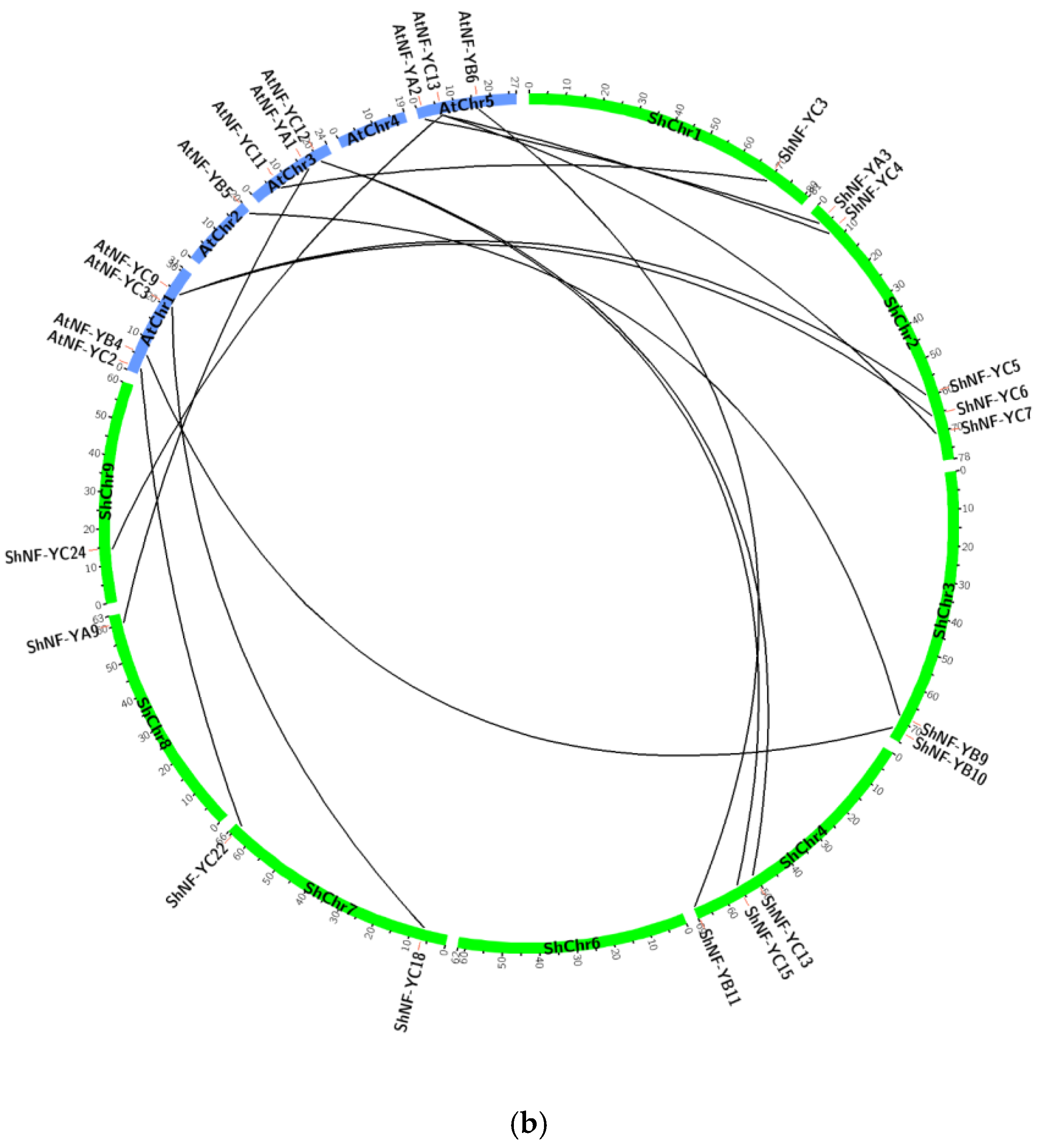 Genes 14 01147 g009b