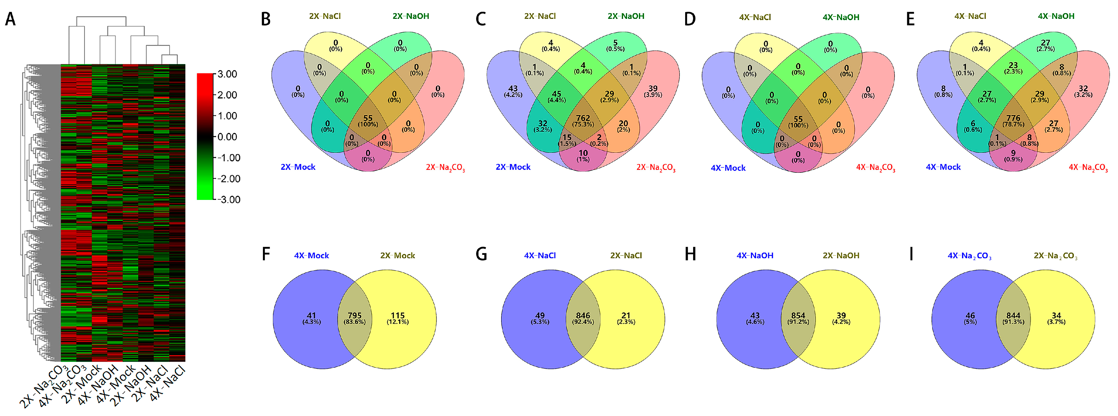 Genes 14 01151 g001 Genes 14 01151 g001