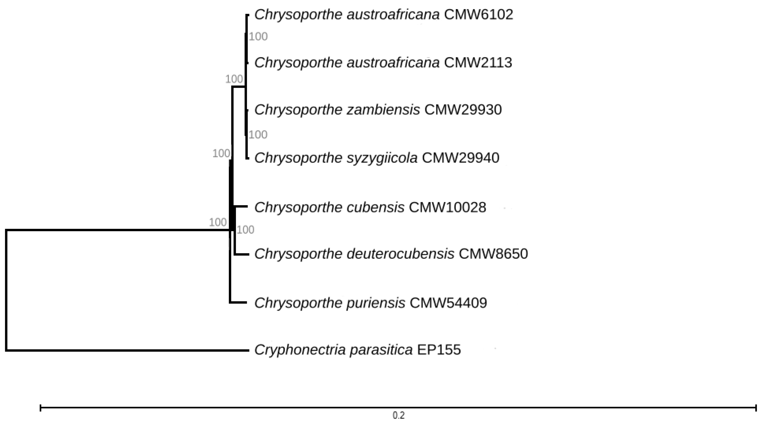 Genes 14 01158 g001 Genes 14 01158 g001