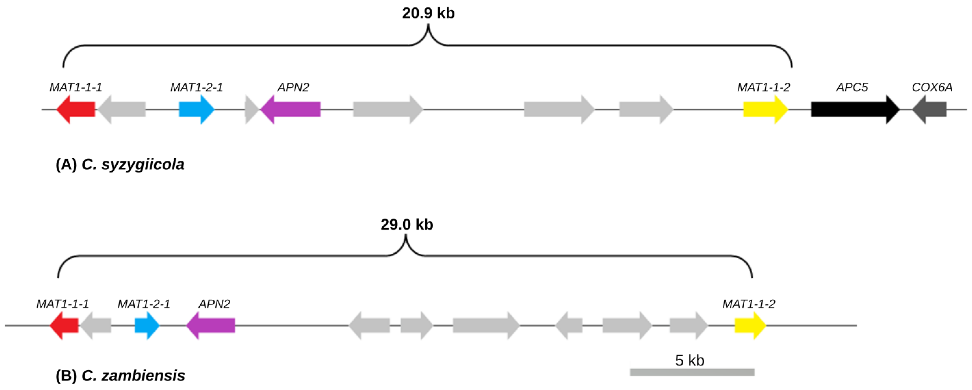 Genes 14 01158 g002 Genes 14 01158 g002