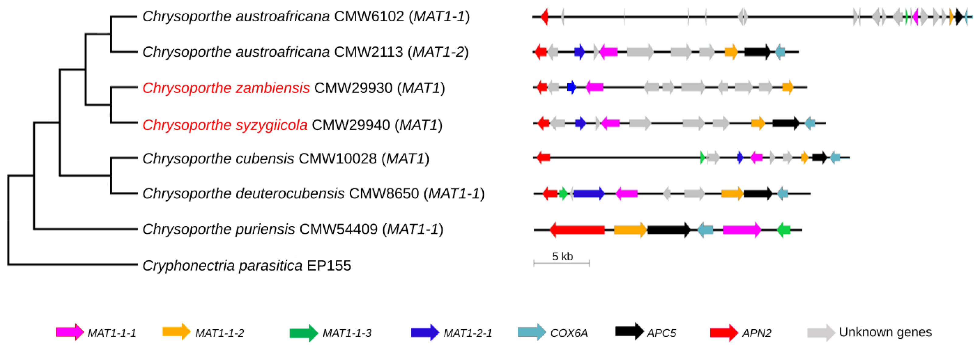 Genes 14 01158 g003 Genes 14 01158 g003