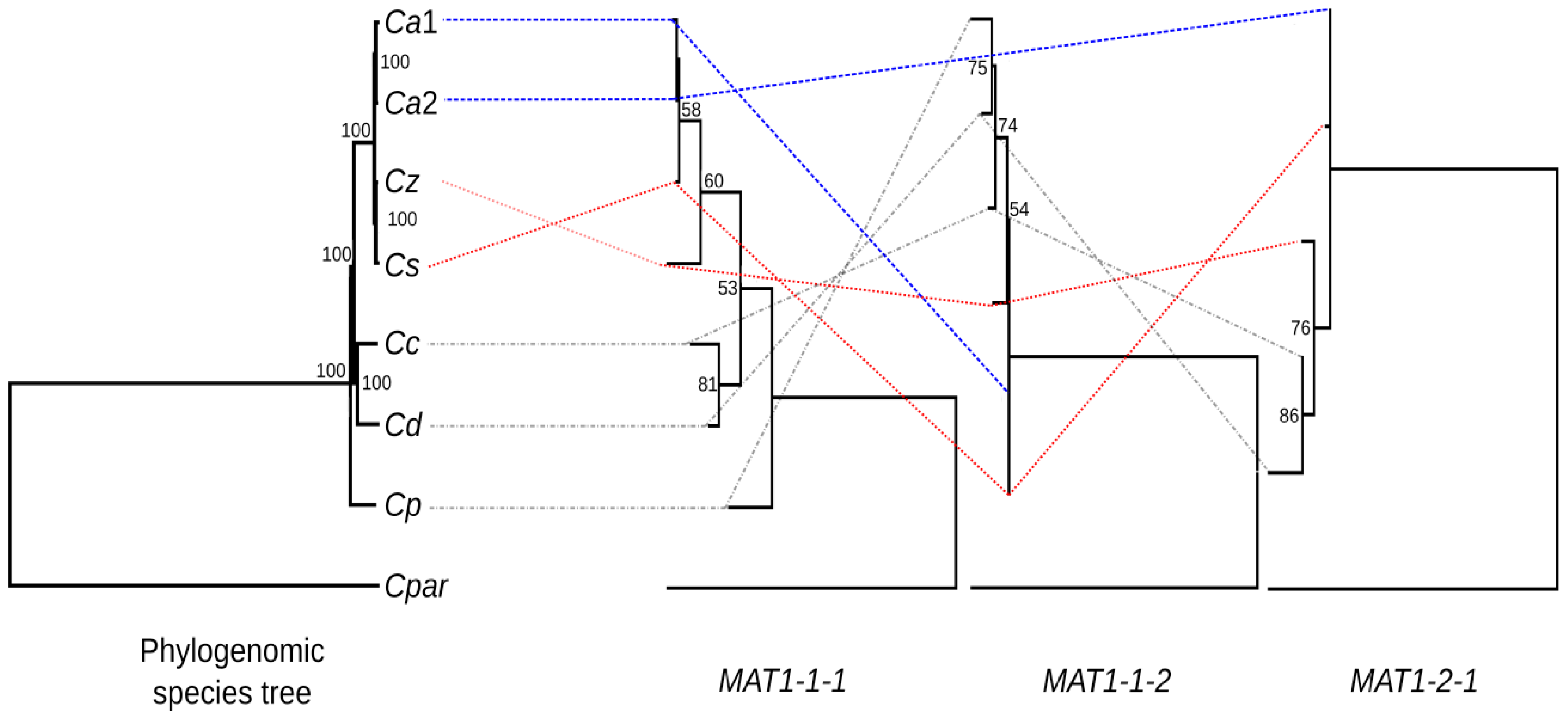 Genes 14 01158 g004 Genes 14 01158 g004
