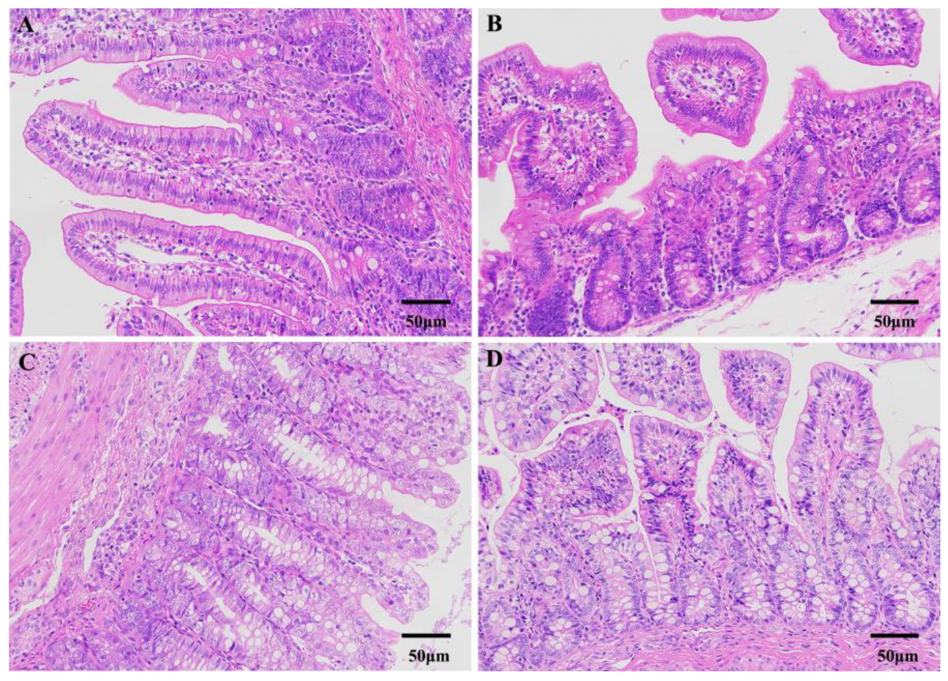Genes 14 01166 g001 Genes 14 01166 g001