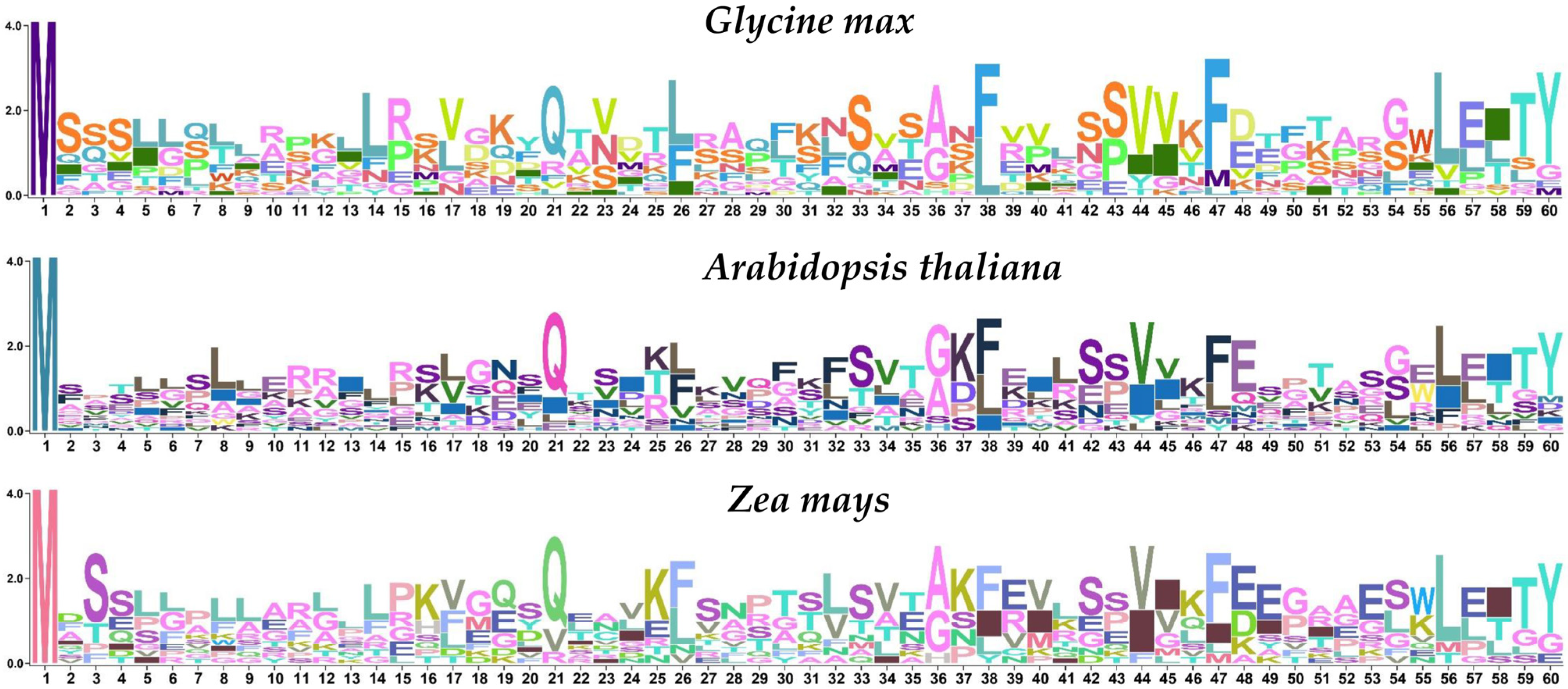 Genes 14 01188 g006 Genes 14 01188 g006