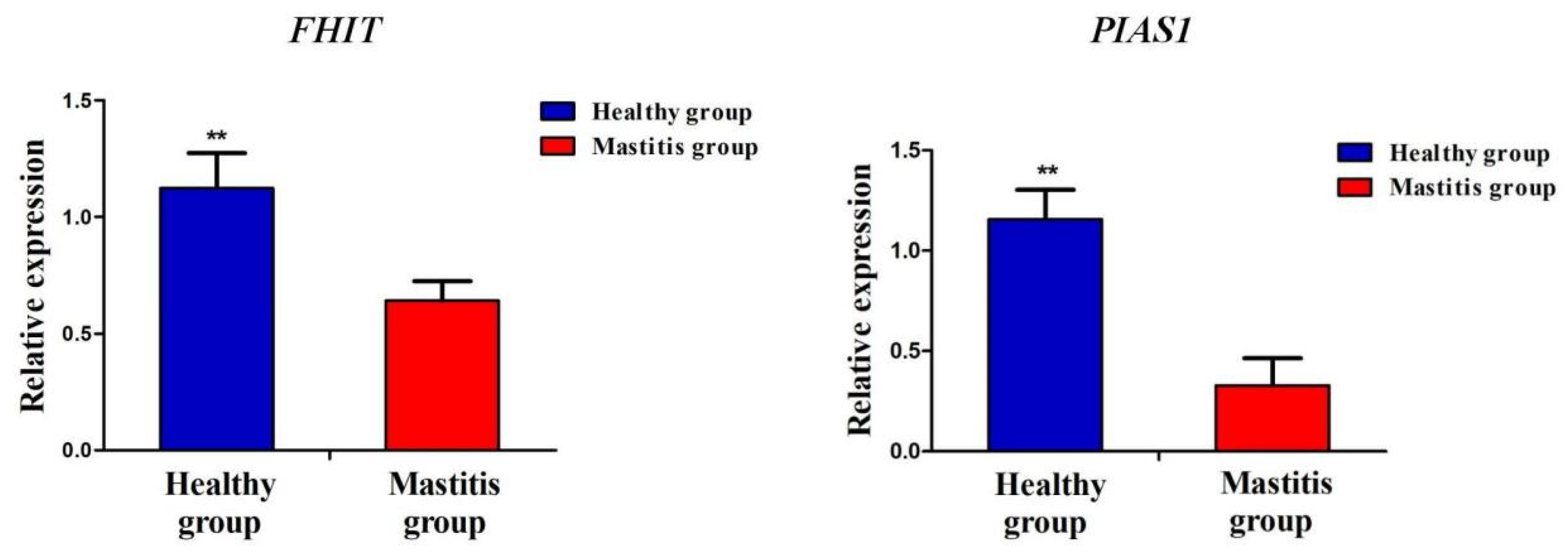 Genes 14 01189 g005 Genes 14 01189 g005