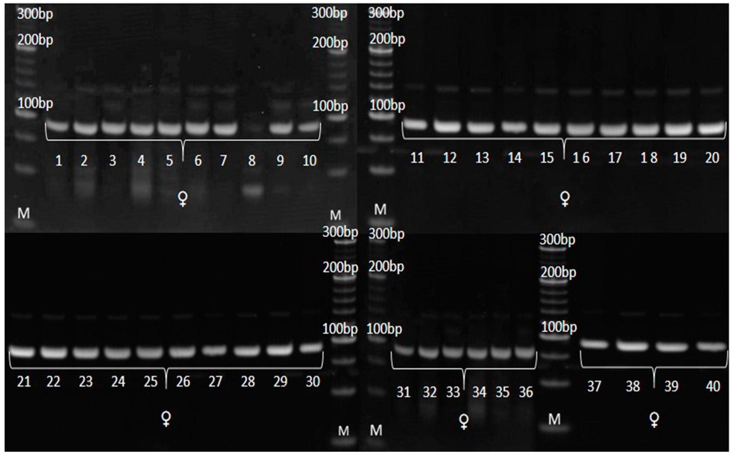 Genes 14 01195 g008 Genes 14 01195 g008