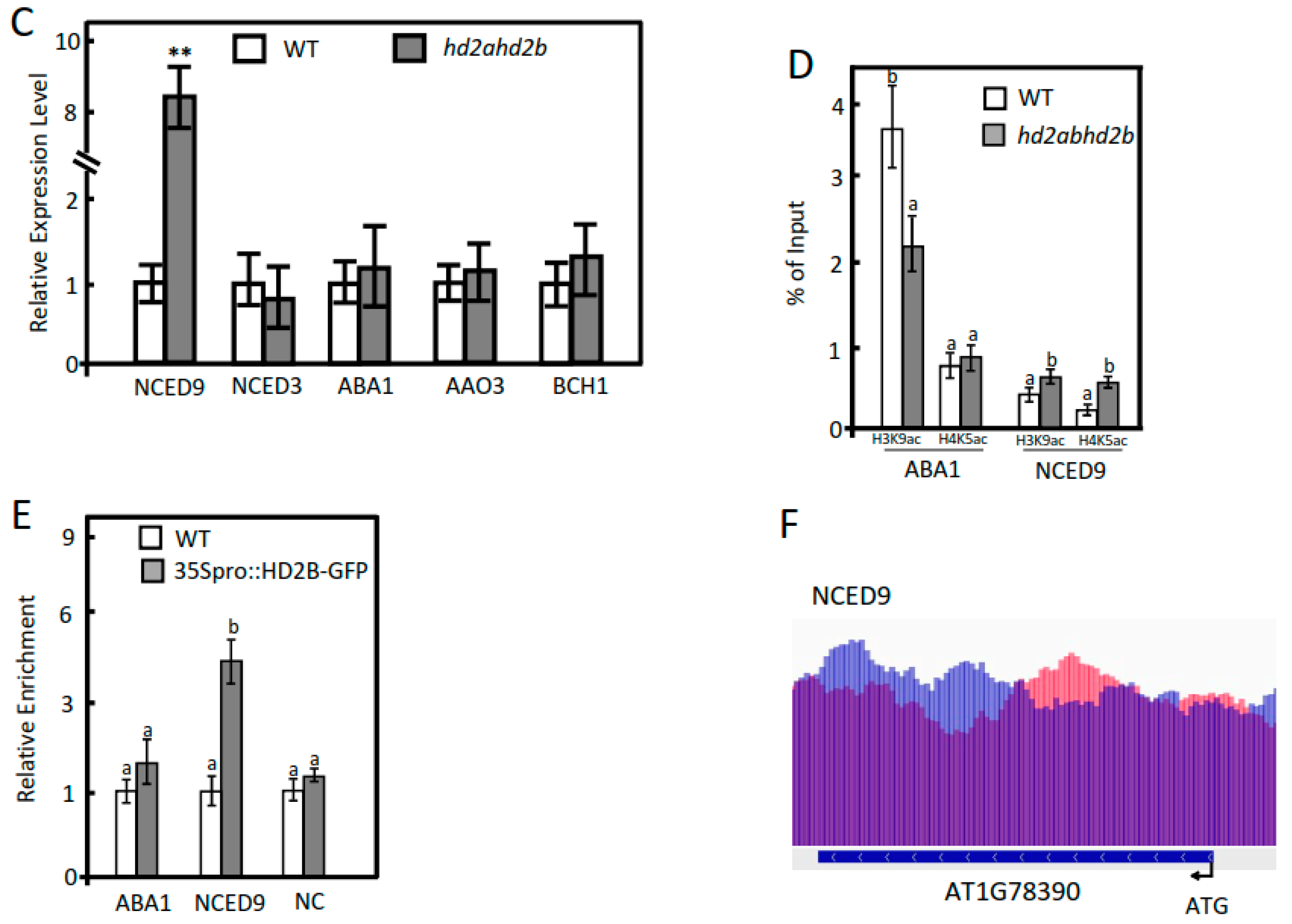 Genes 14 01199 g005b