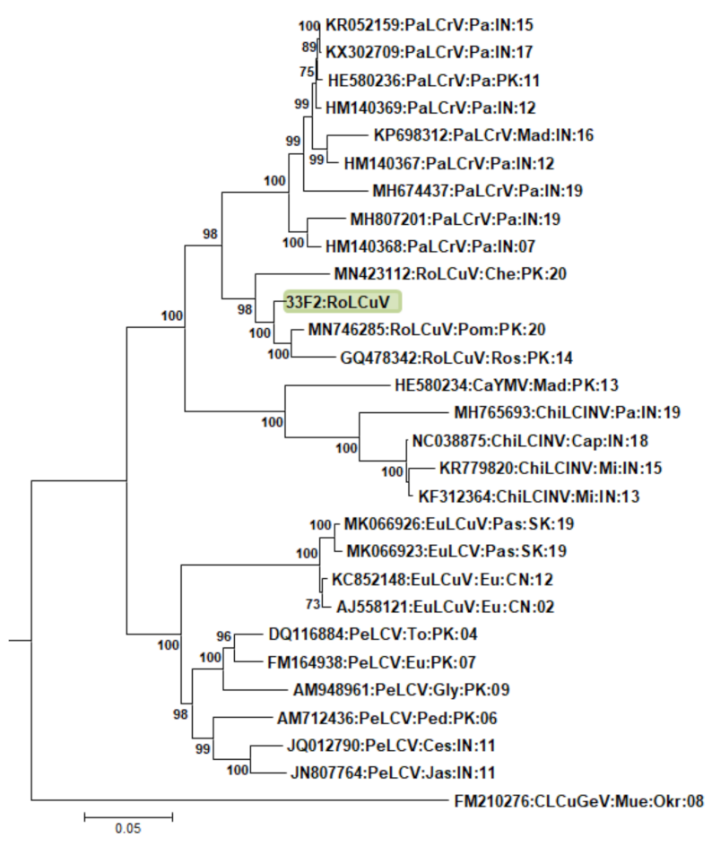 Genes 14 01221 g003 Genes 14 01221 g003