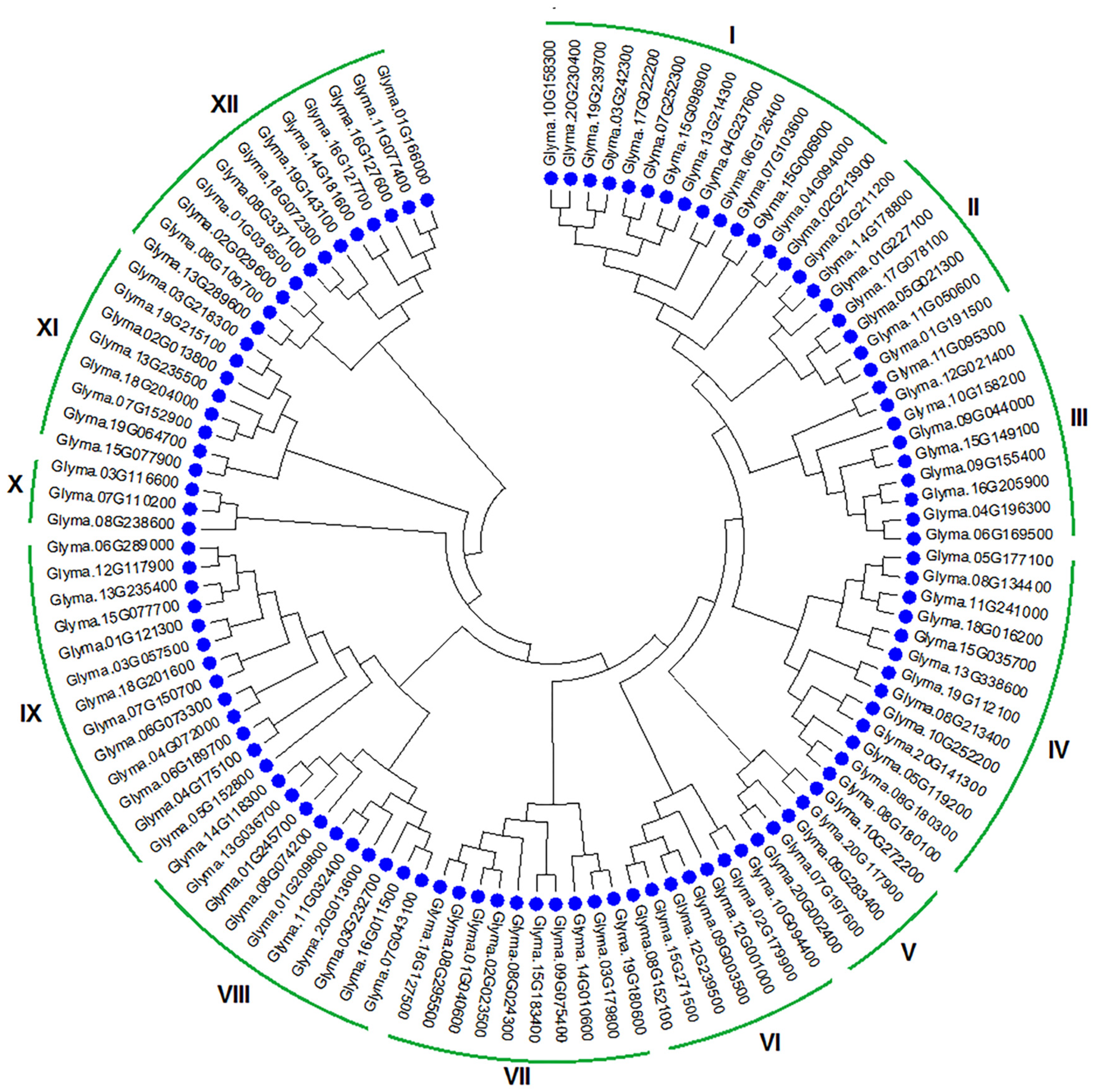 Genes 14 01254 g001 Genes 14 01254 g001