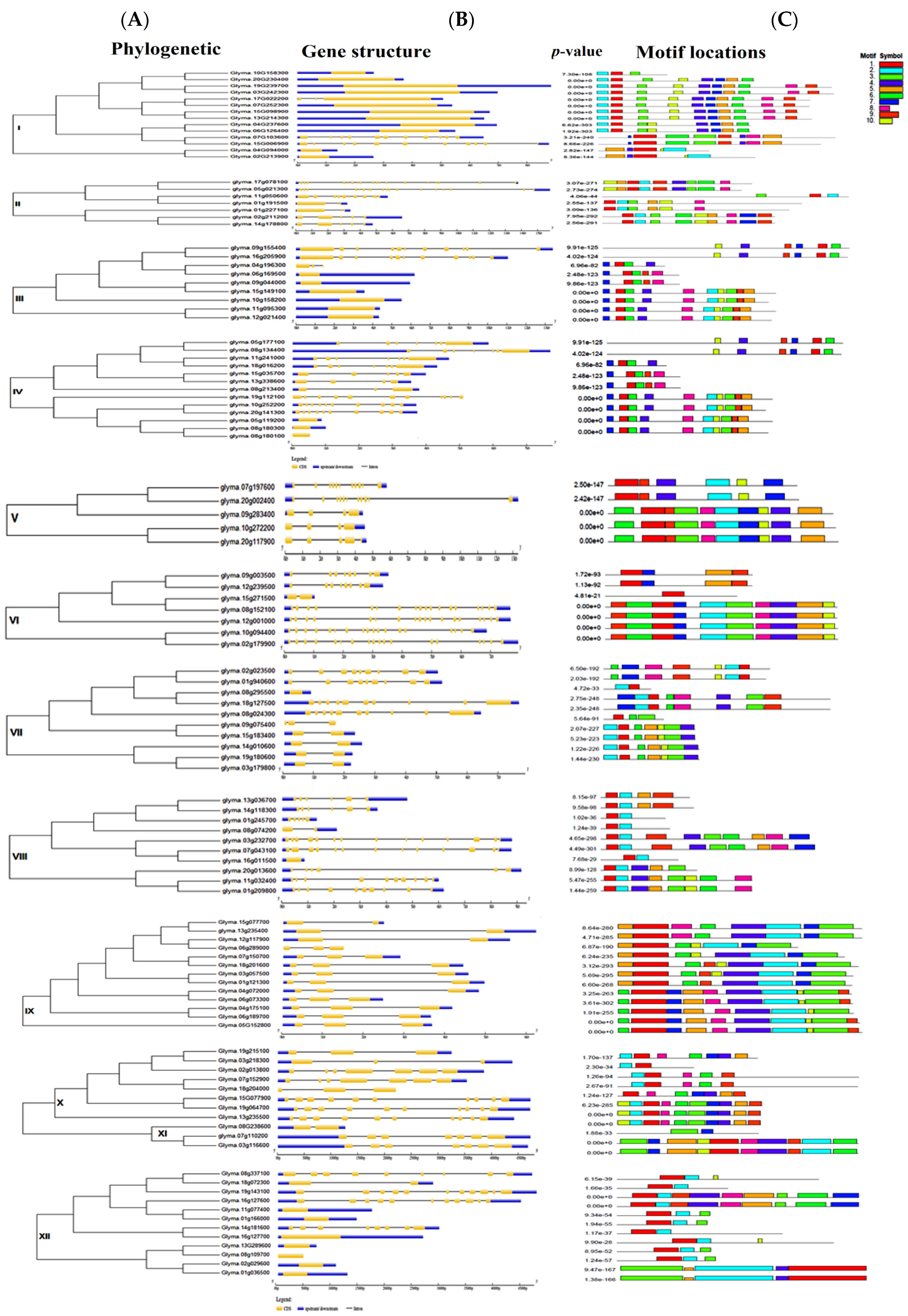 Genes 14 01254 g002 Genes 14 01254 g002