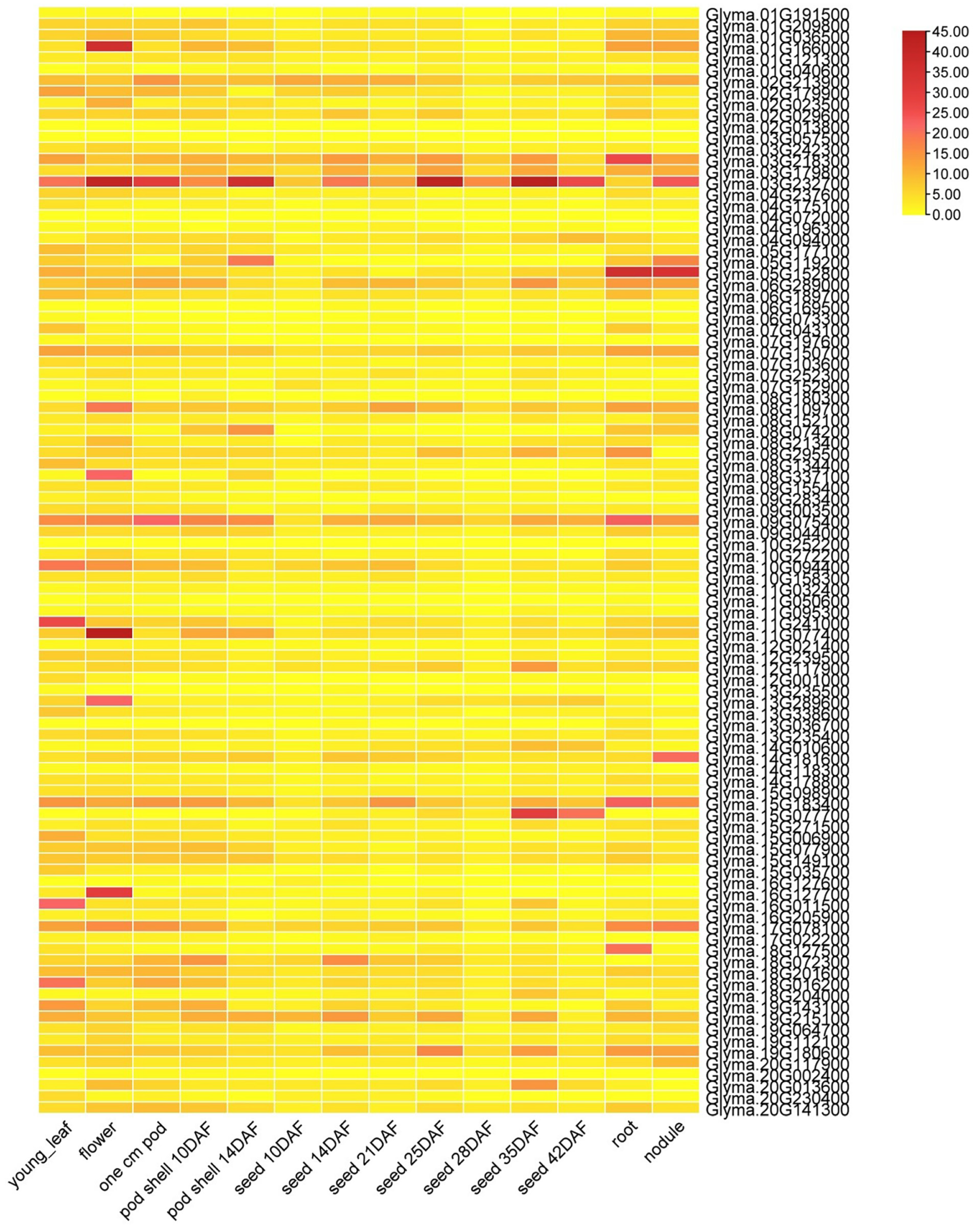 Genes 14 01254 g005 Genes 14 01254 g005