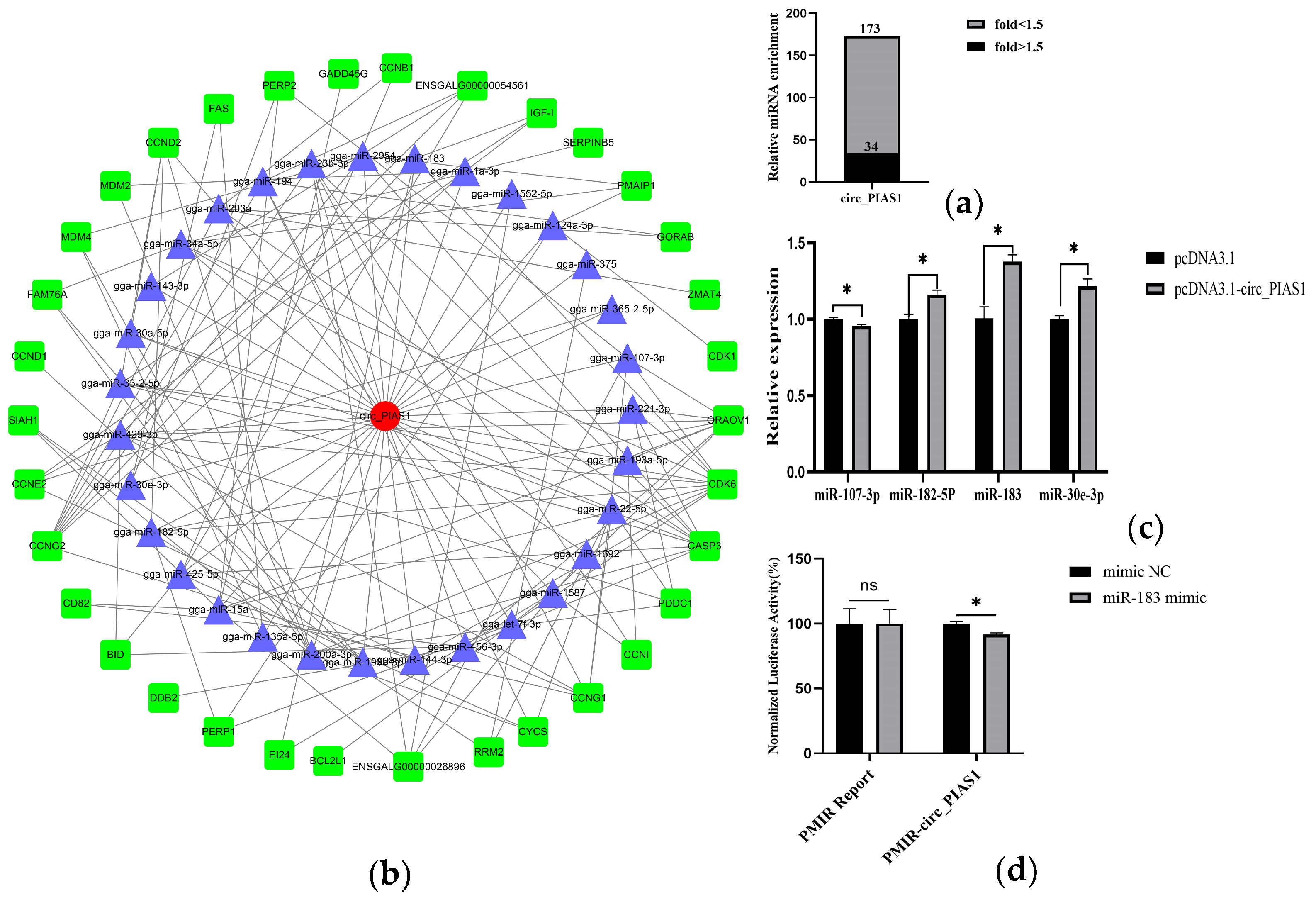 Genes 14 01260 g002 Genes 14 01260 g002