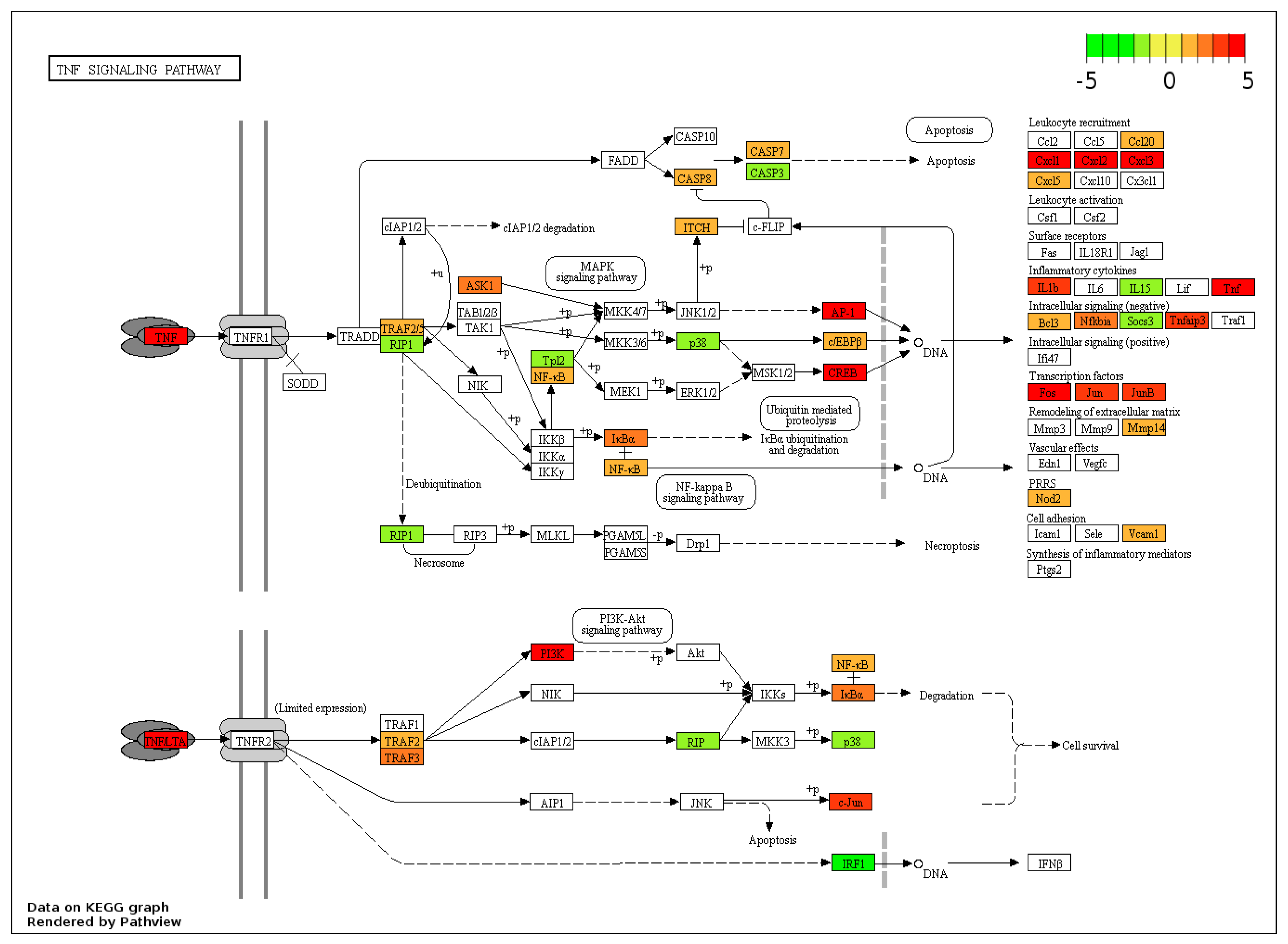 Genes 14 01261 g004 Genes 14 01261 g004