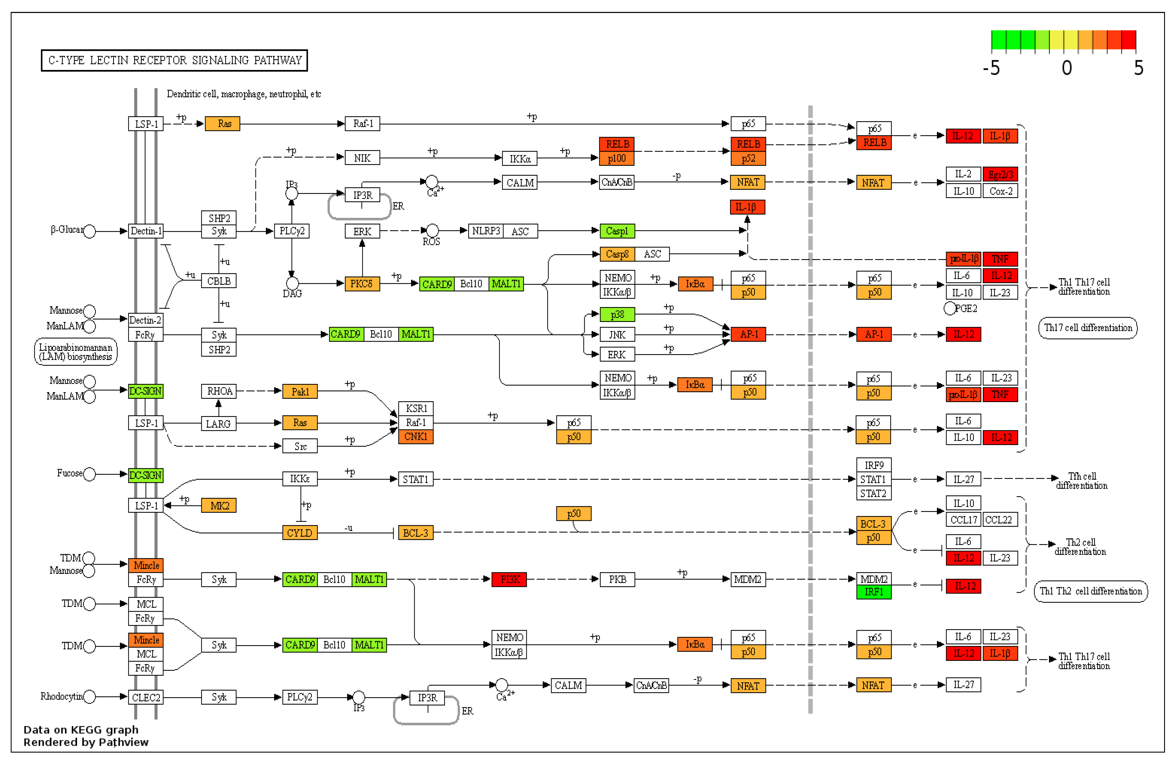Genes 14 01261 g005 Genes 14 01261 g005