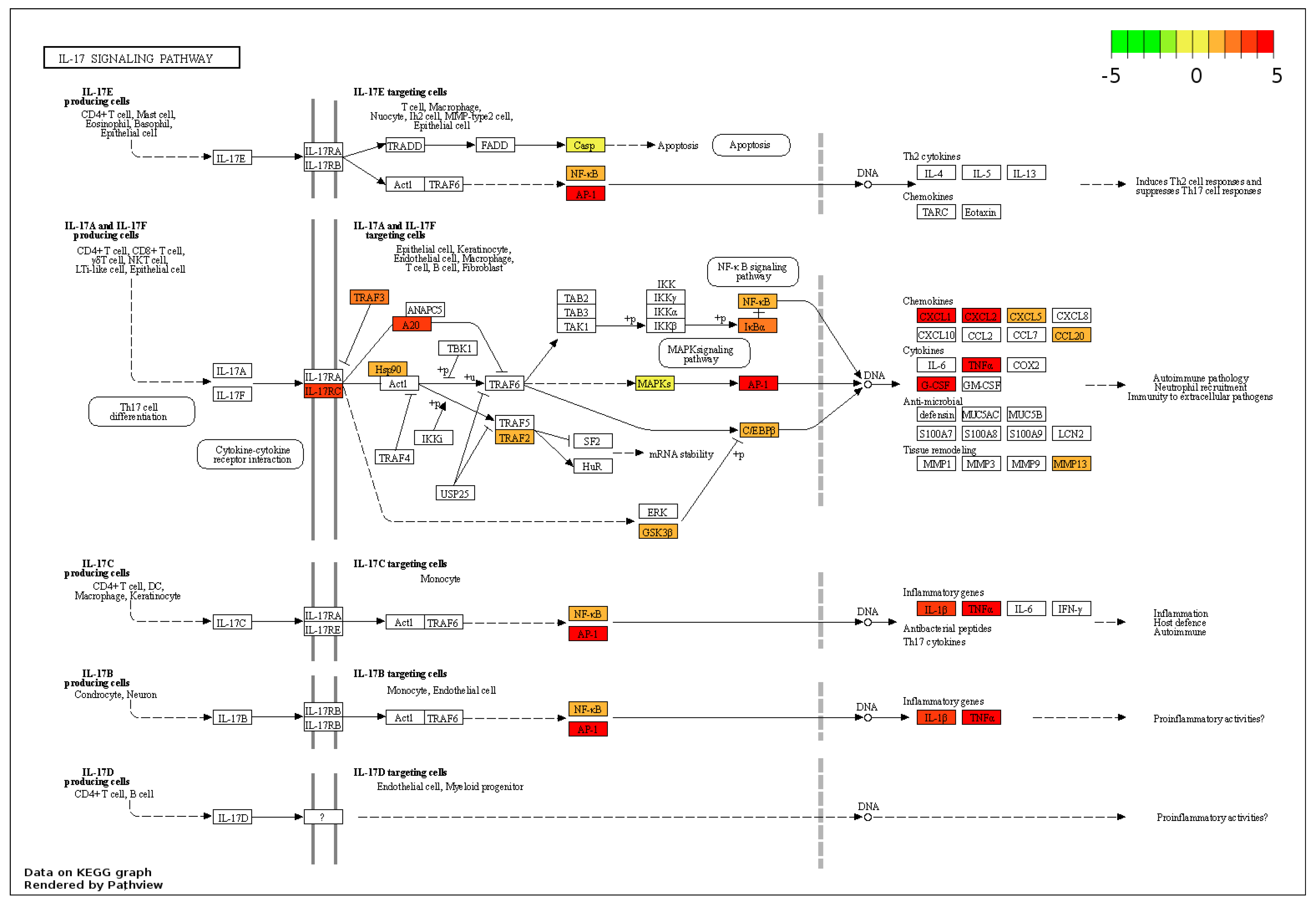 Genes 14 01261 g006 Genes 14 01261 g006
