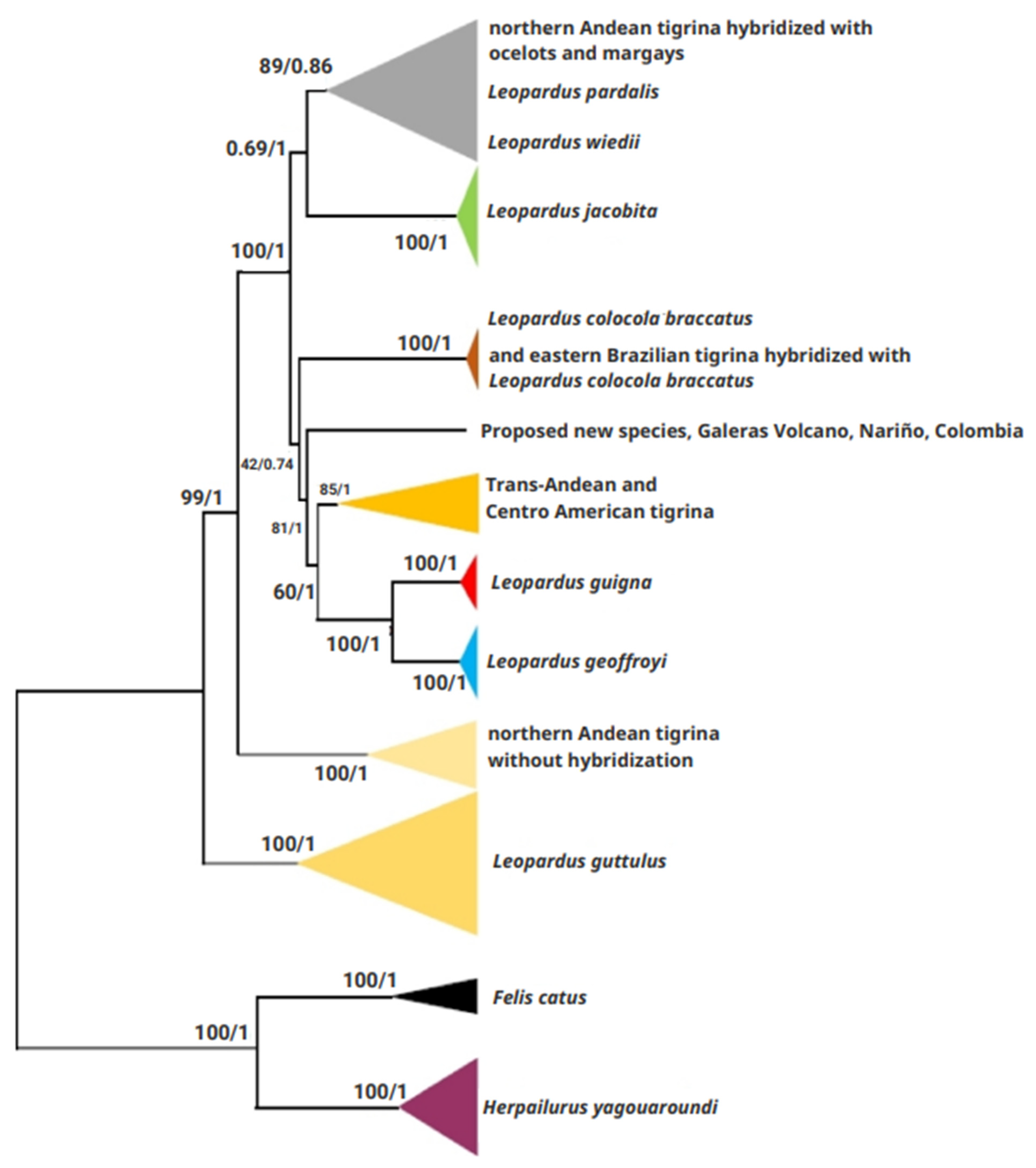 Genes 14 01266 g002 Genes 14 01266 g002