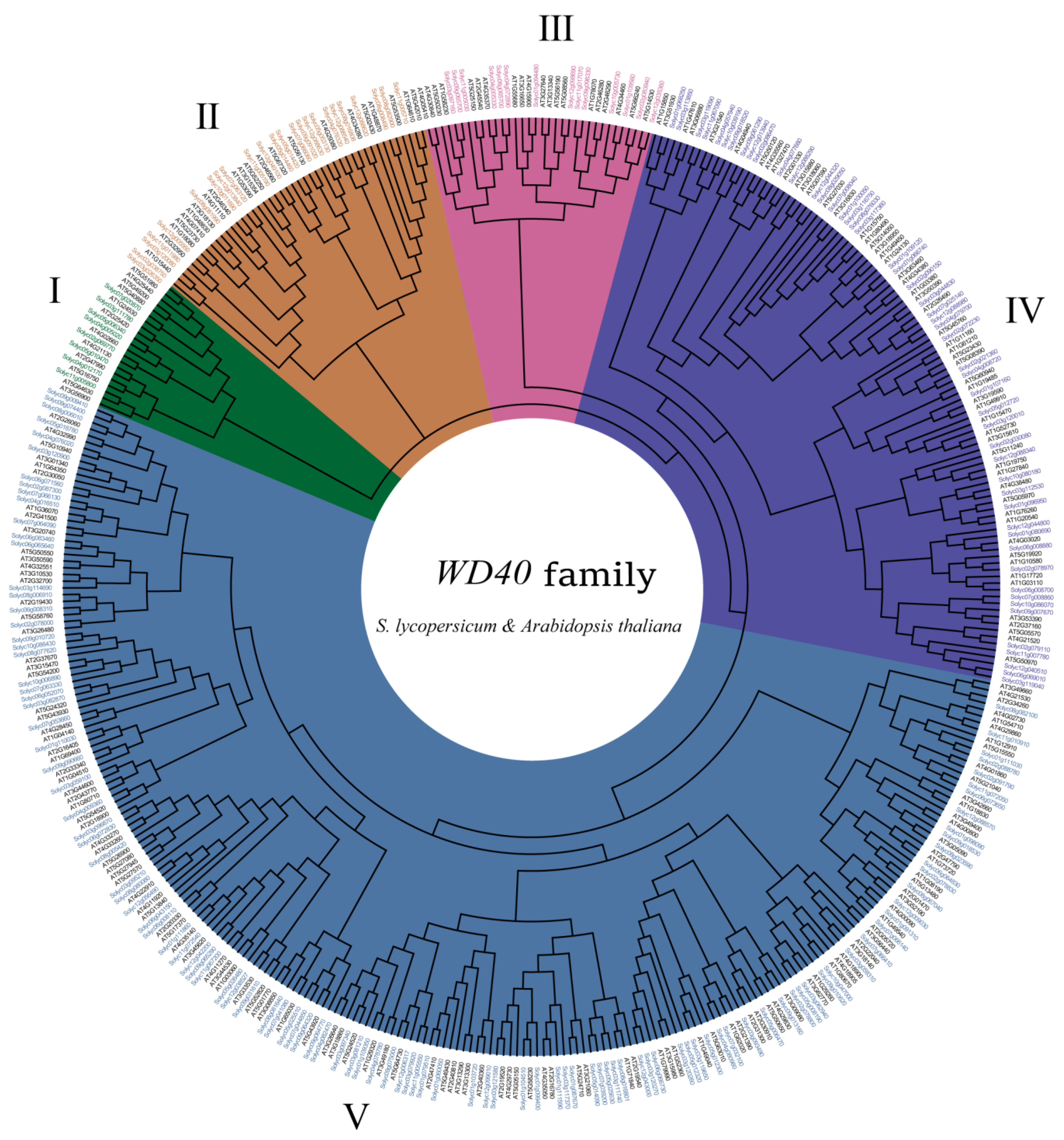 Genes 14 01273 g005 Genes 14 01273 g005
