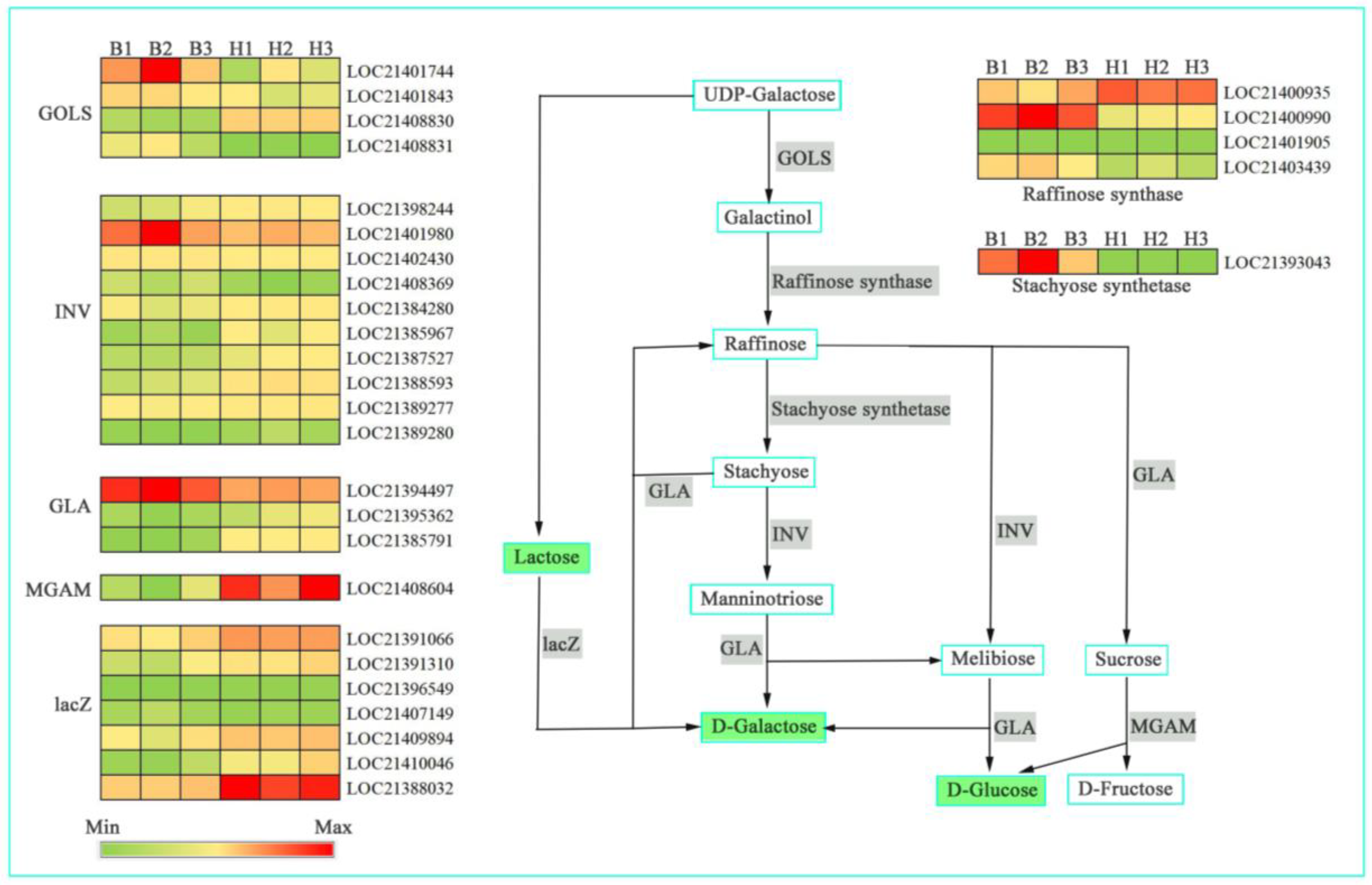 Genes 14 01282 g007 Genes 14 01282 g007