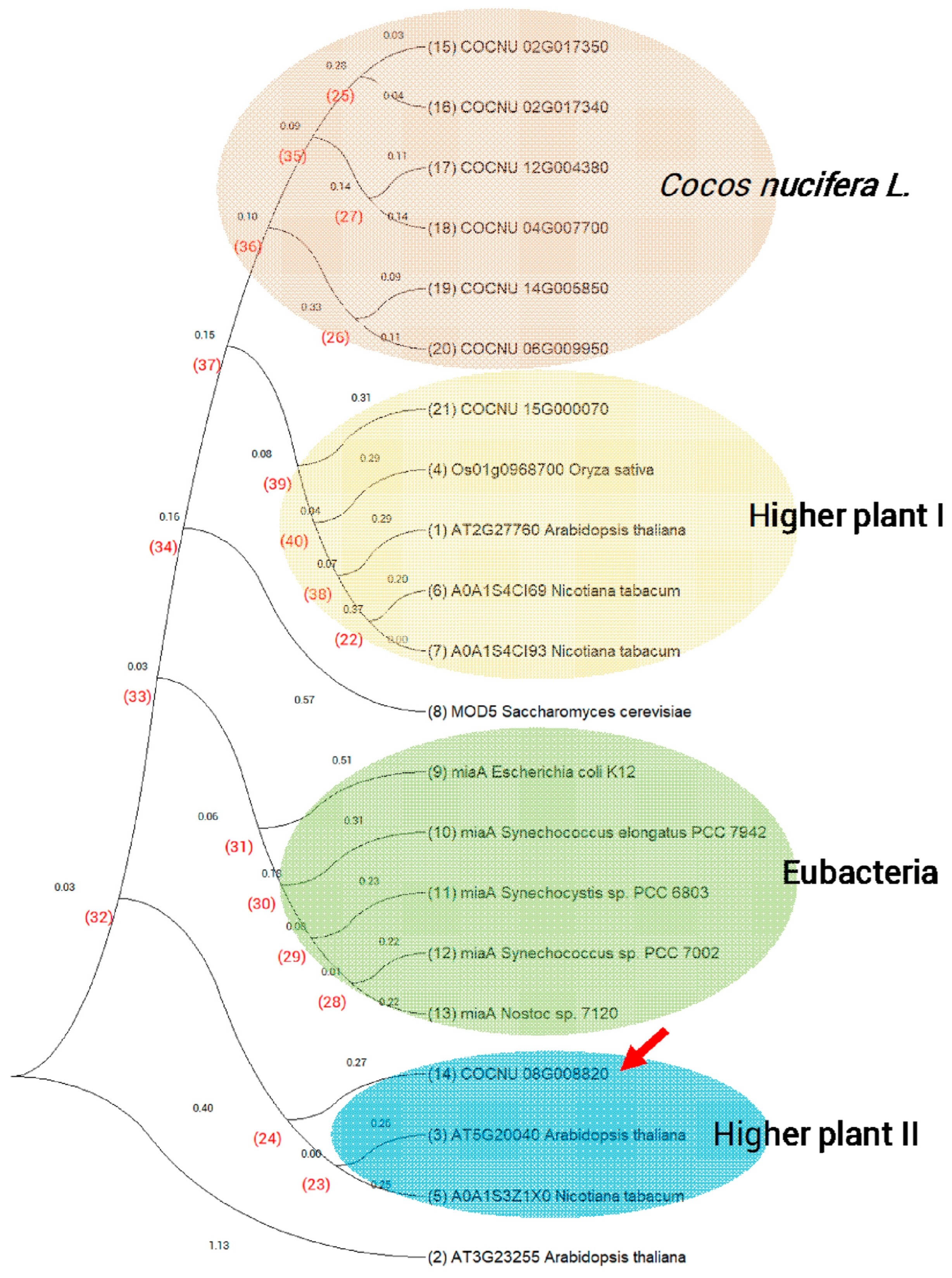 Genes 14 01287 g006 Genes 14 01287 g006