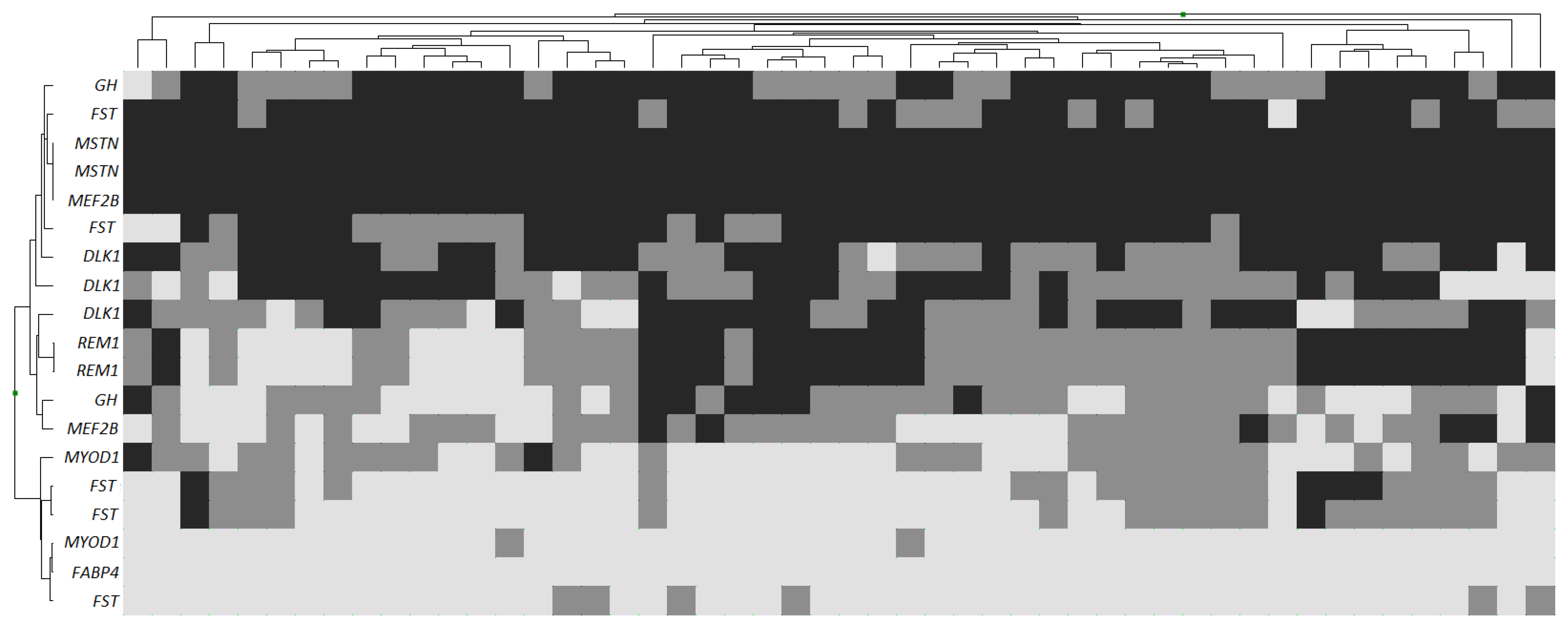 Genes 14 01288 g002 Genes 14 01288 g002