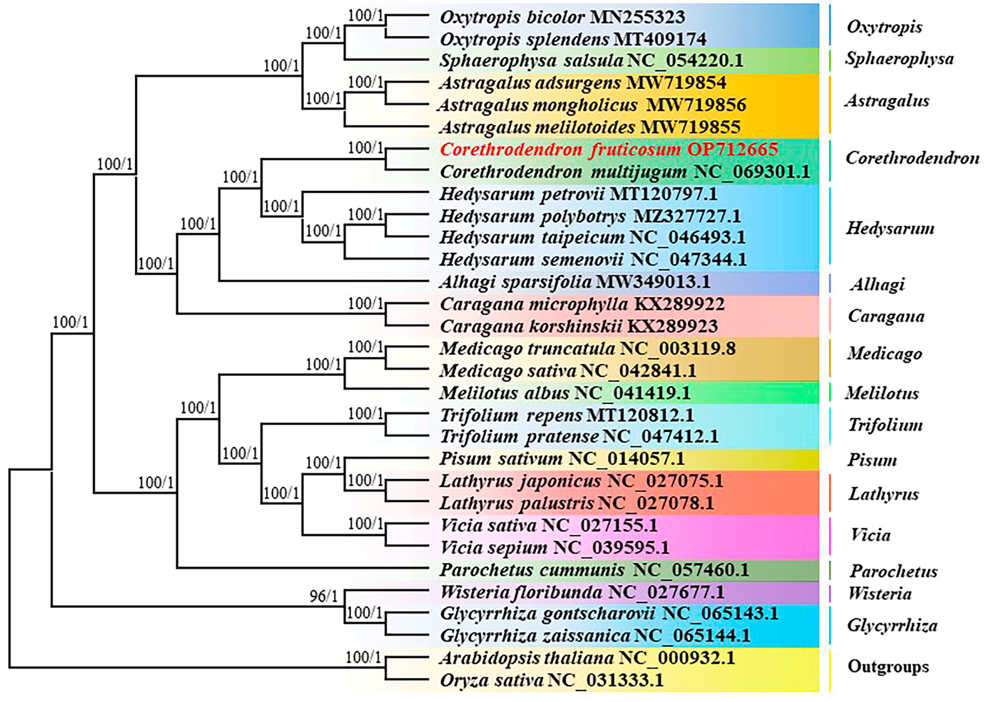 Genes 14 01289 g007 Genes 14 01289 g007