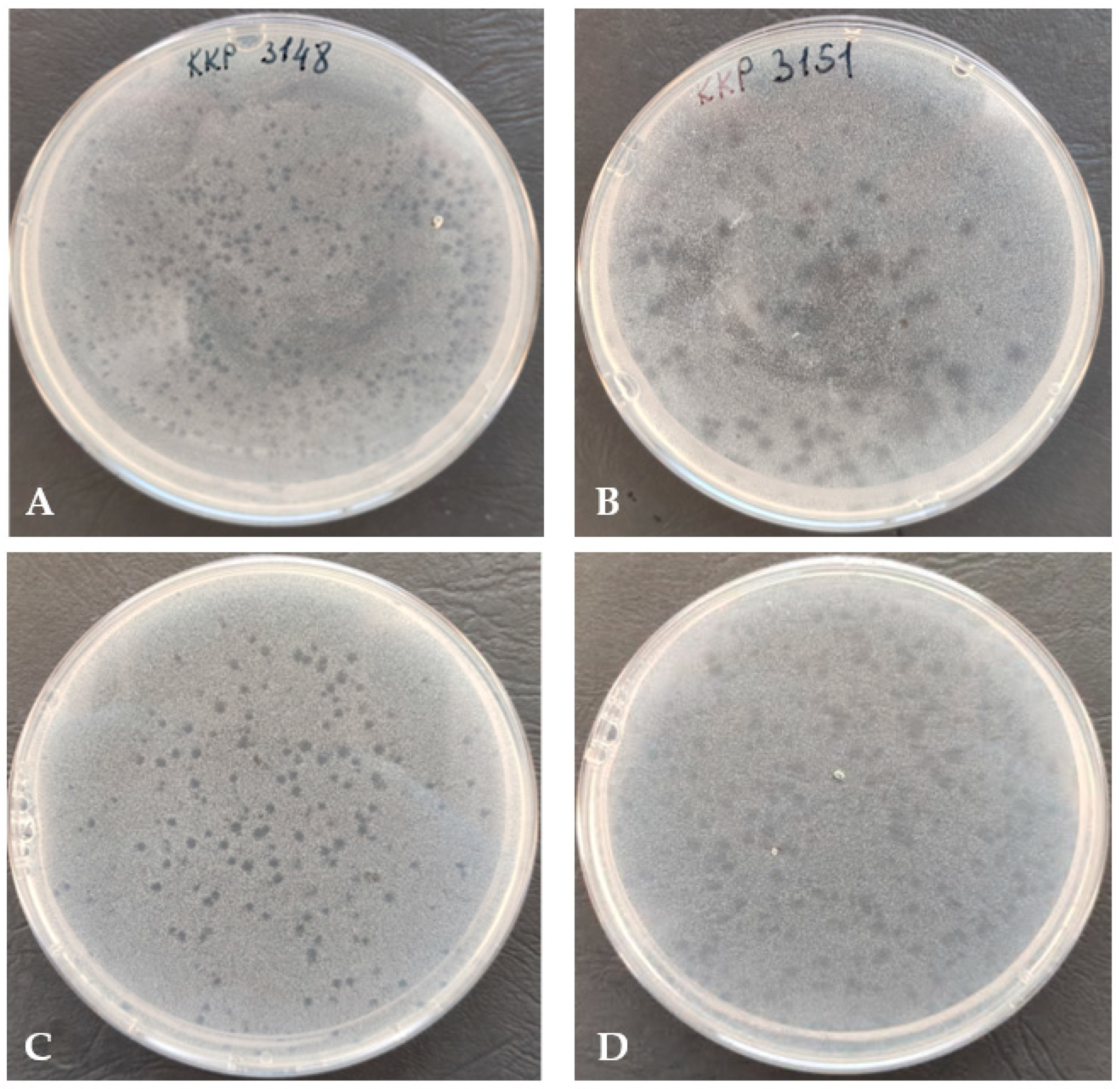 Genes 14 01303 g002 Genes 14 01303 g002