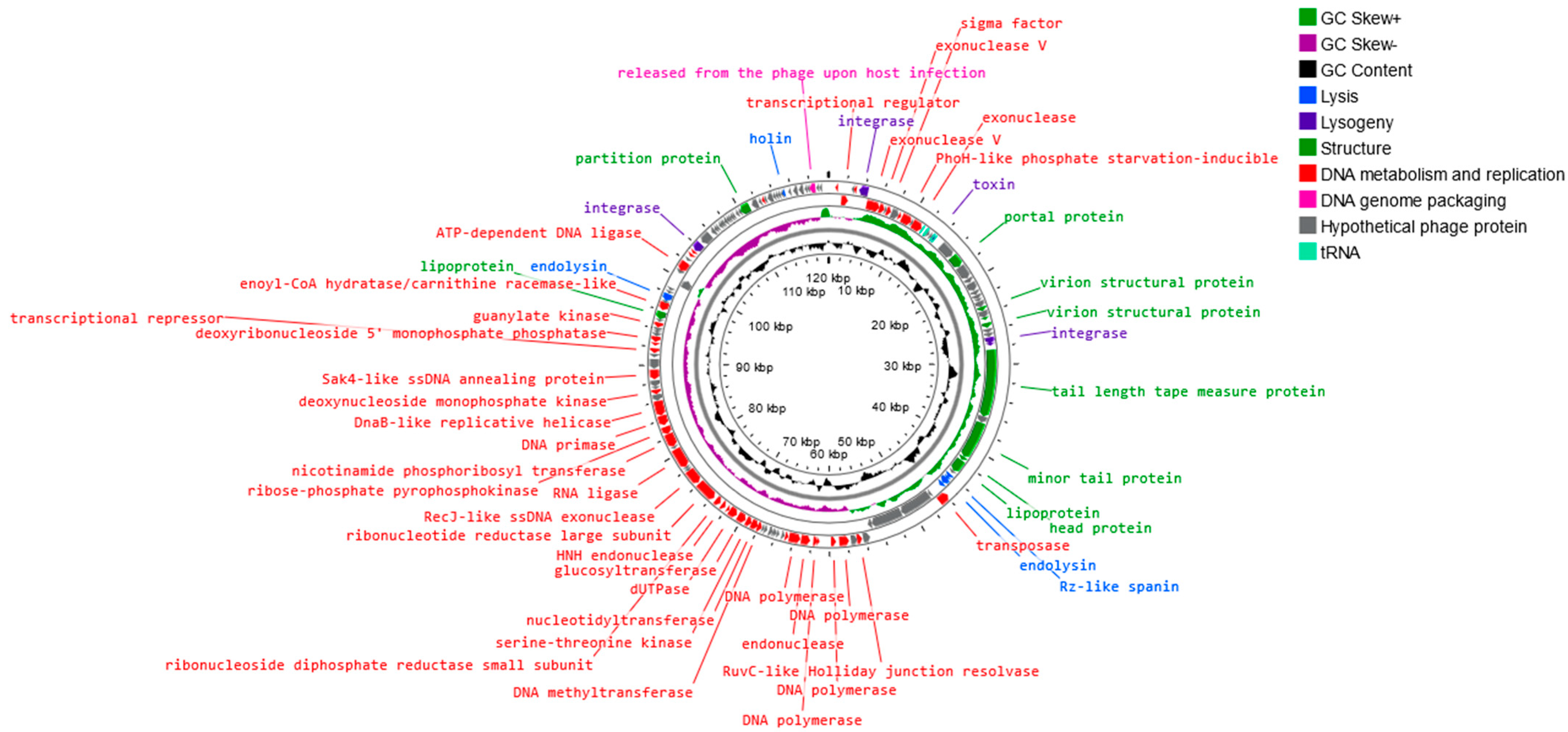 Genes 14 01303 g008 Genes 14 01303 g008