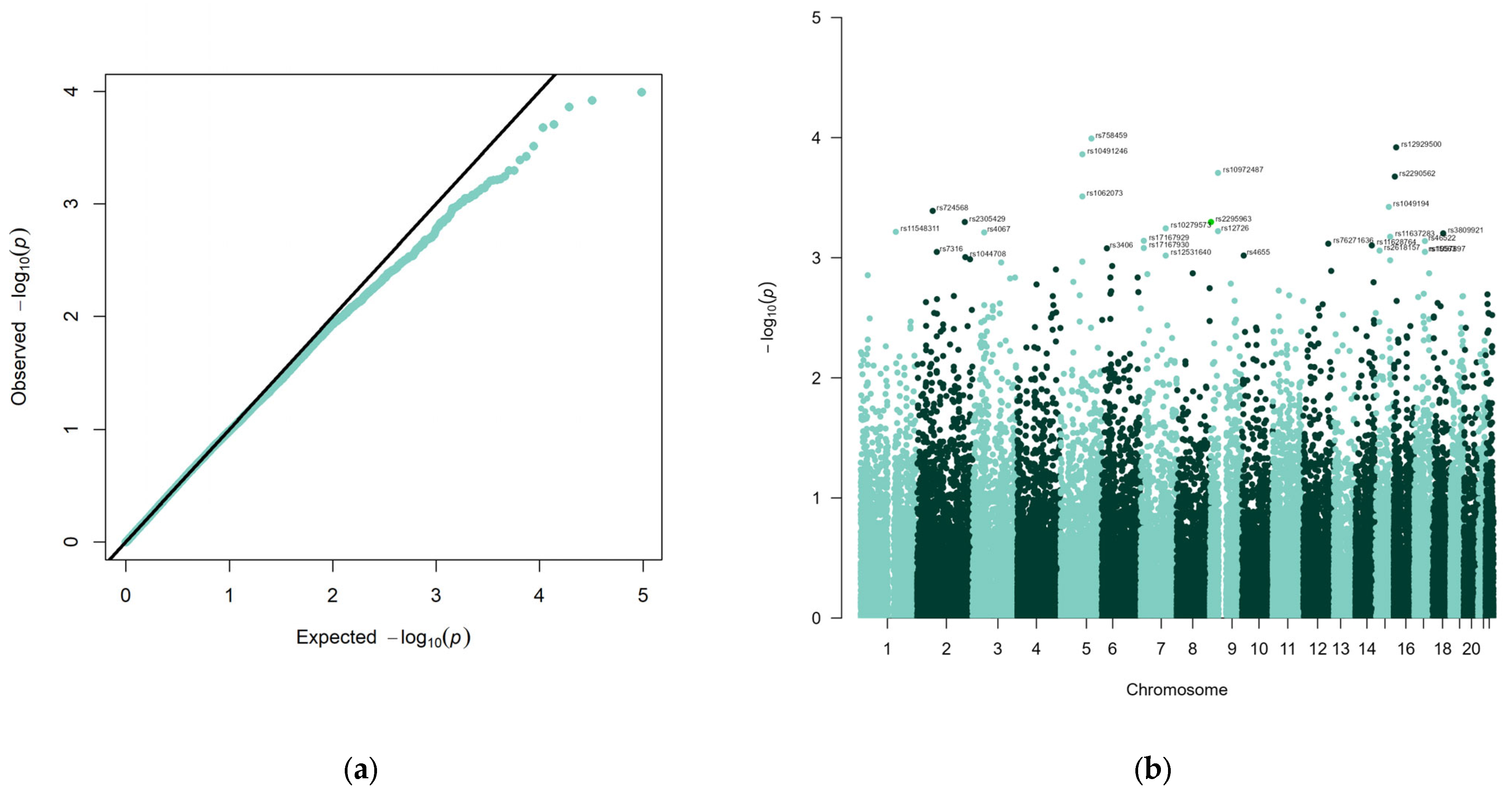 Genes 14 01312 g001 Genes 14 01312 g001