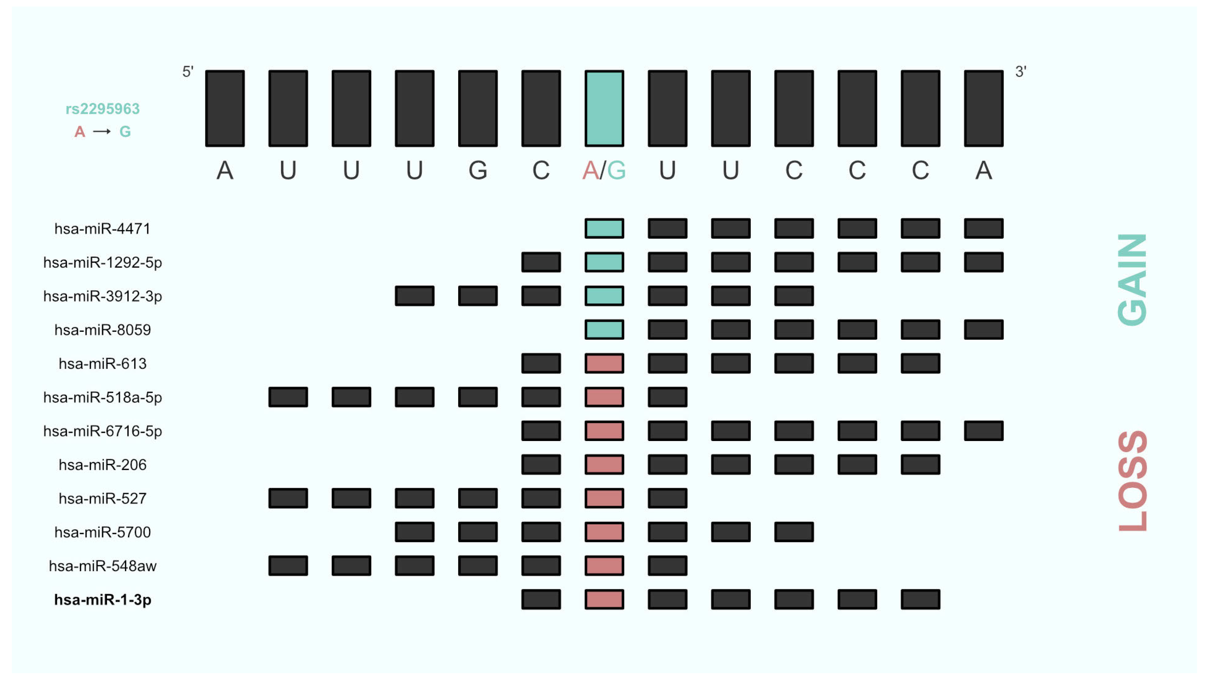 Genes 14 01312 g002 Genes 14 01312 g002