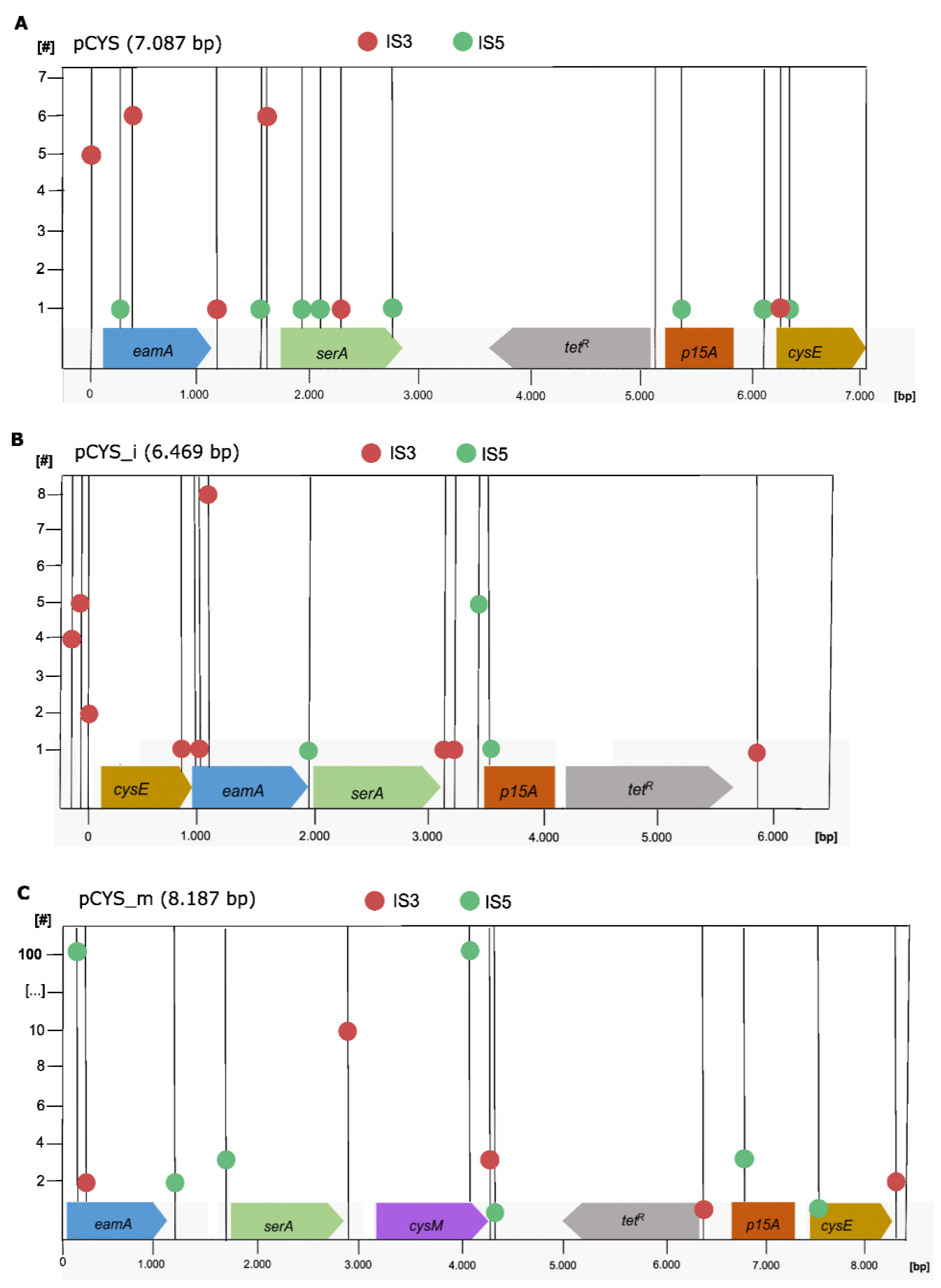 Genes 14 01317 g001 Genes 14 01317 g001