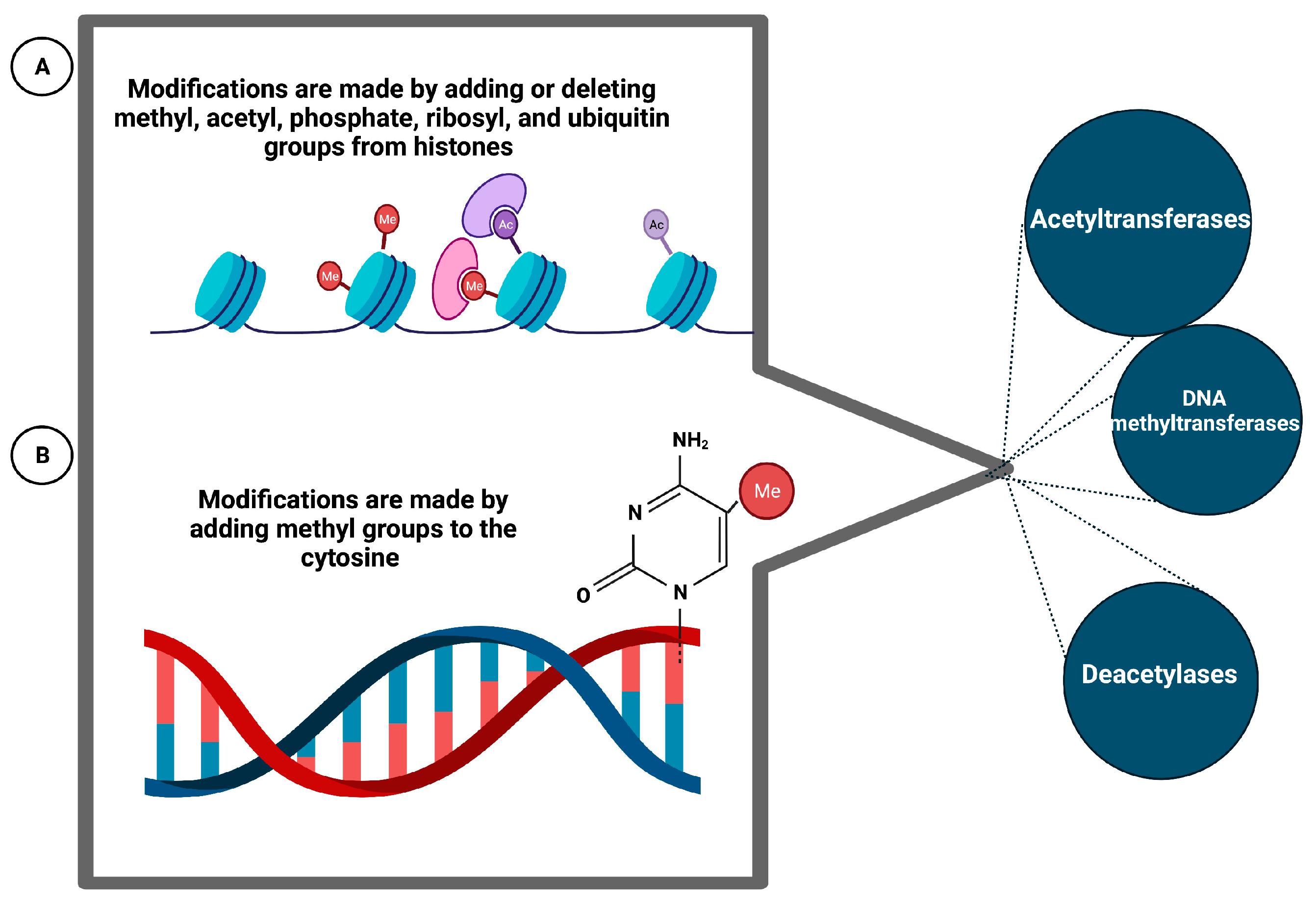 Genes 14 01319 g005 Genes 14 01319 g005