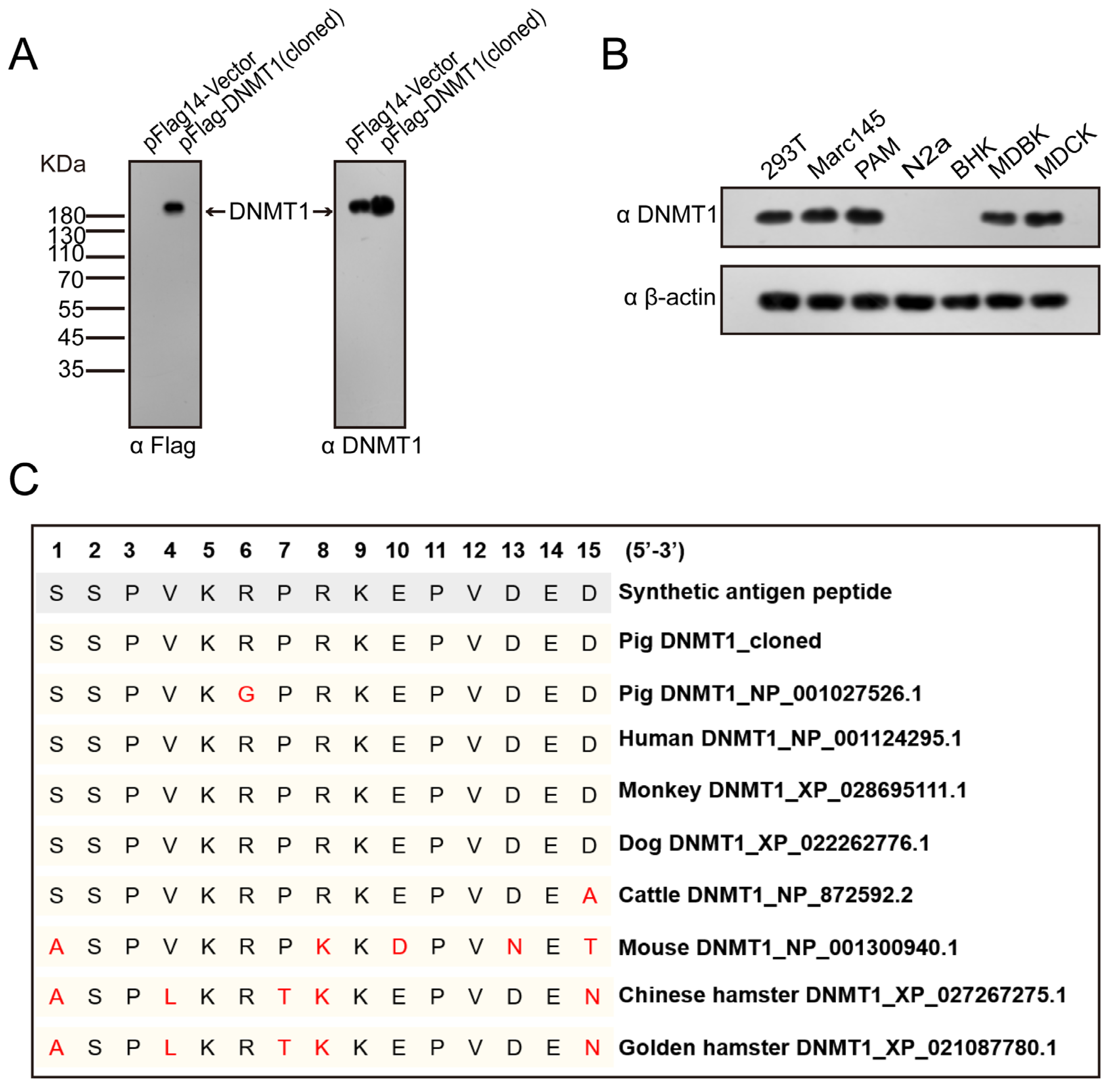 Genes 14 01324 g003 Genes 14 01324 g003
