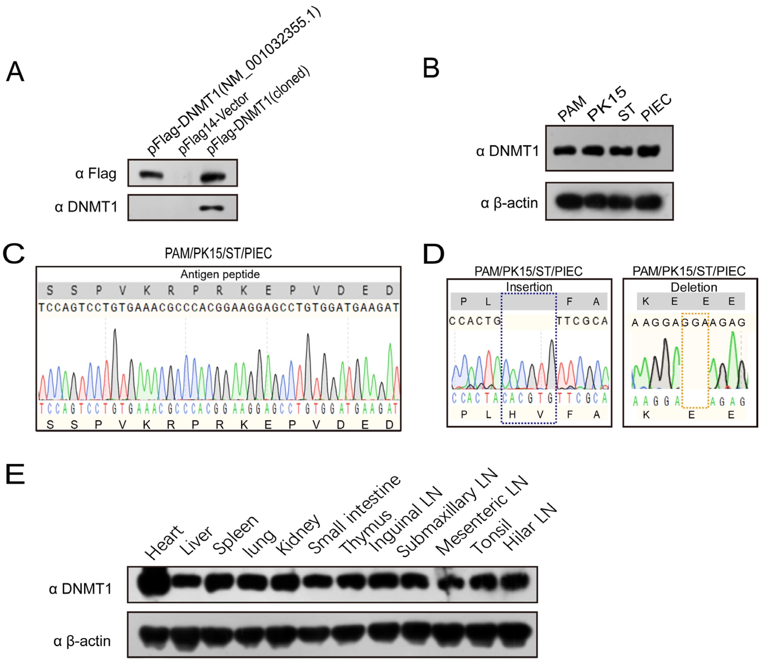 Genes 14 01324 g004 Genes 14 01324 g004