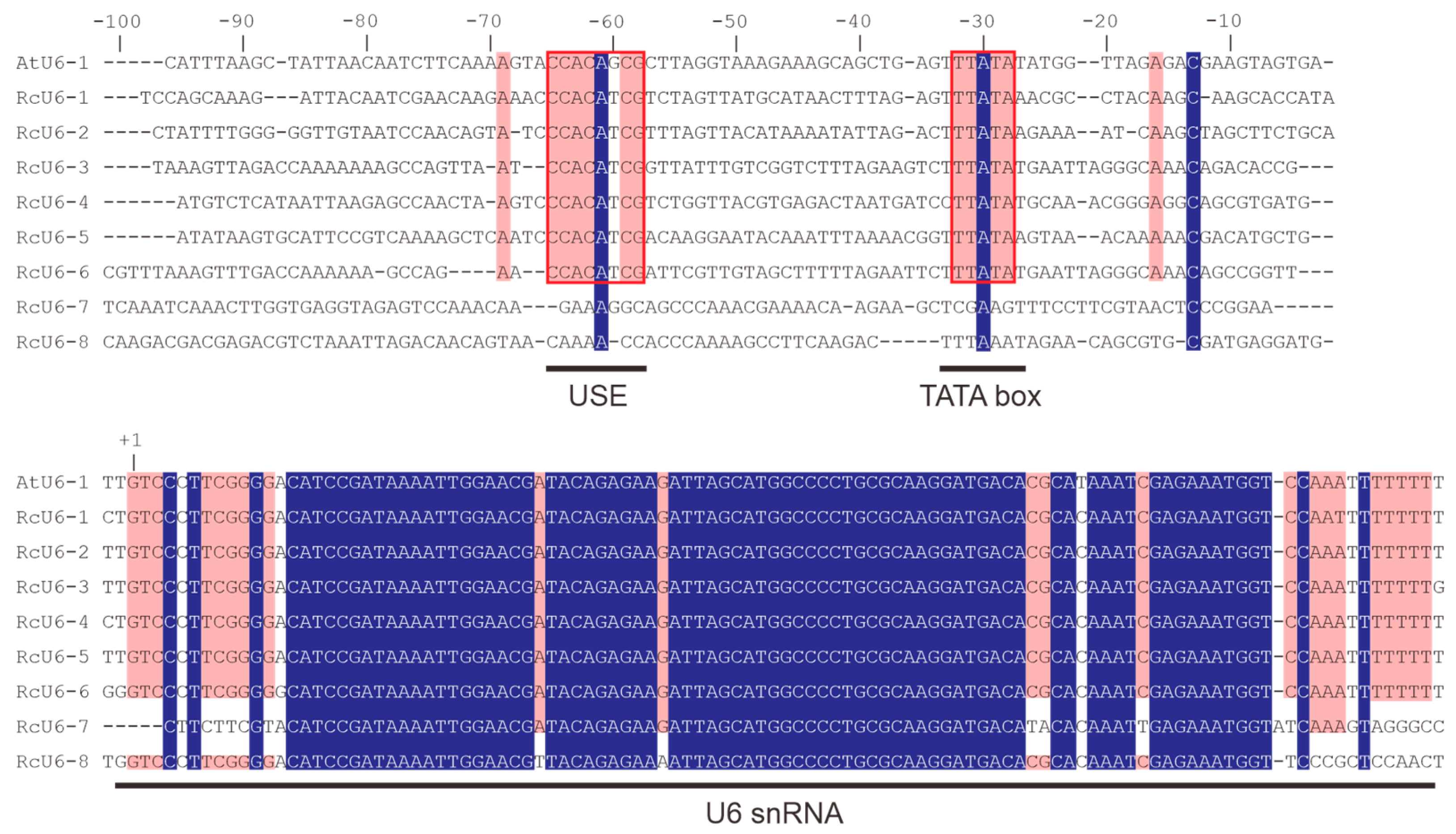 Genes 14 01327 g001 Genes 14 01327 g001