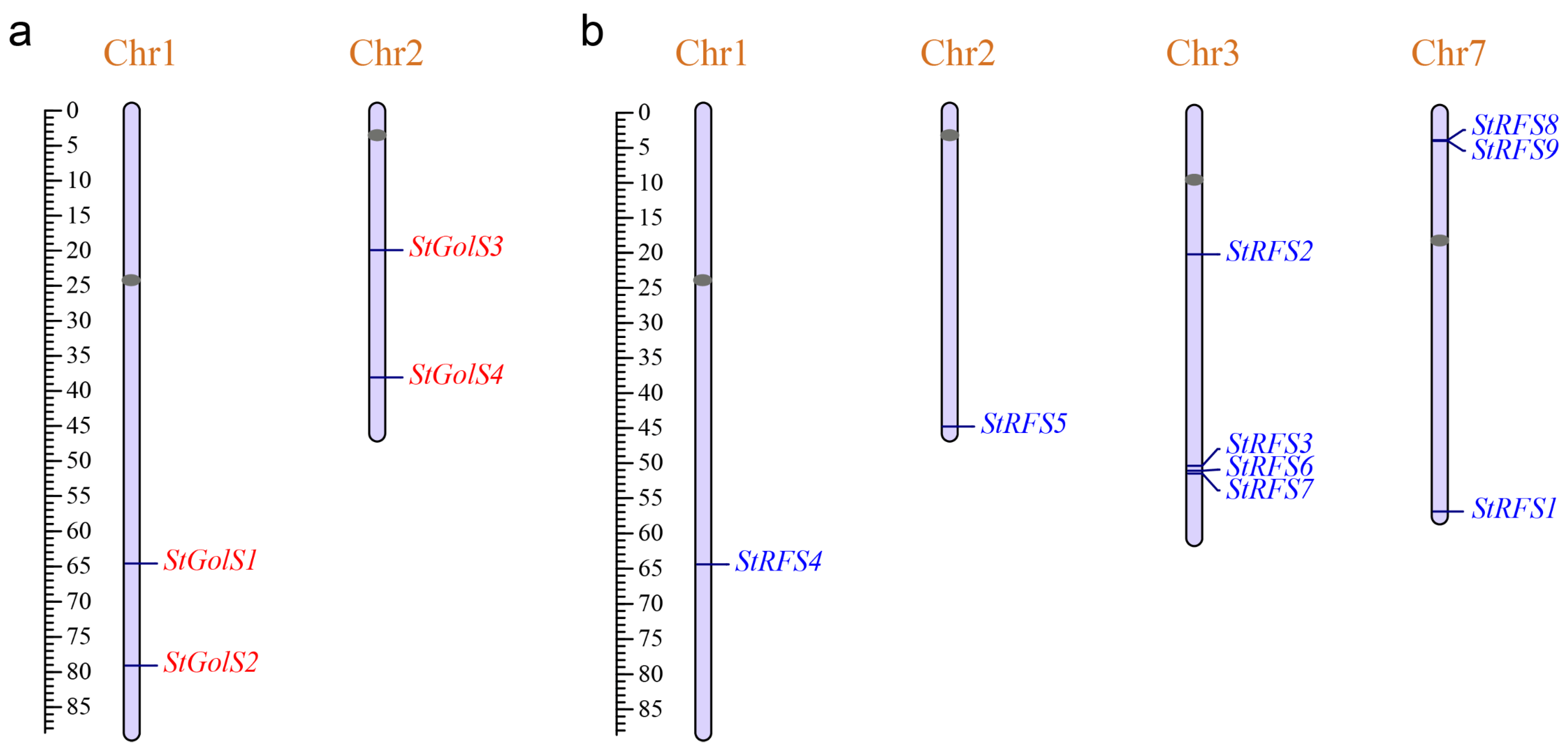 Genes 14 01344 g001