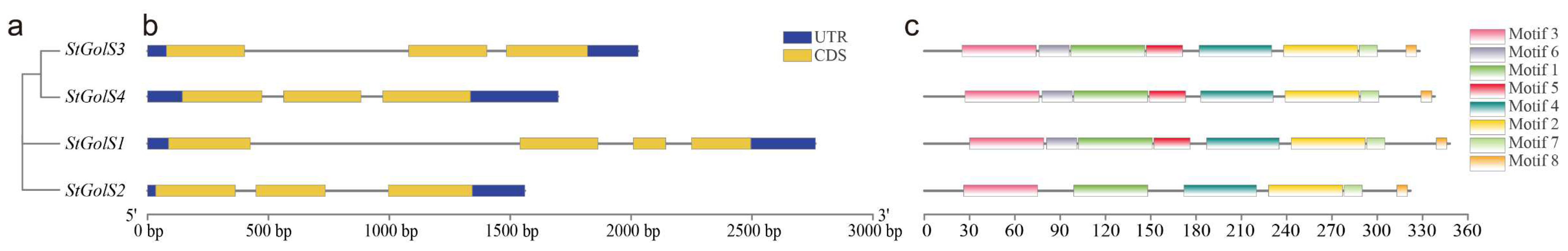 Genes 14 01344 g003