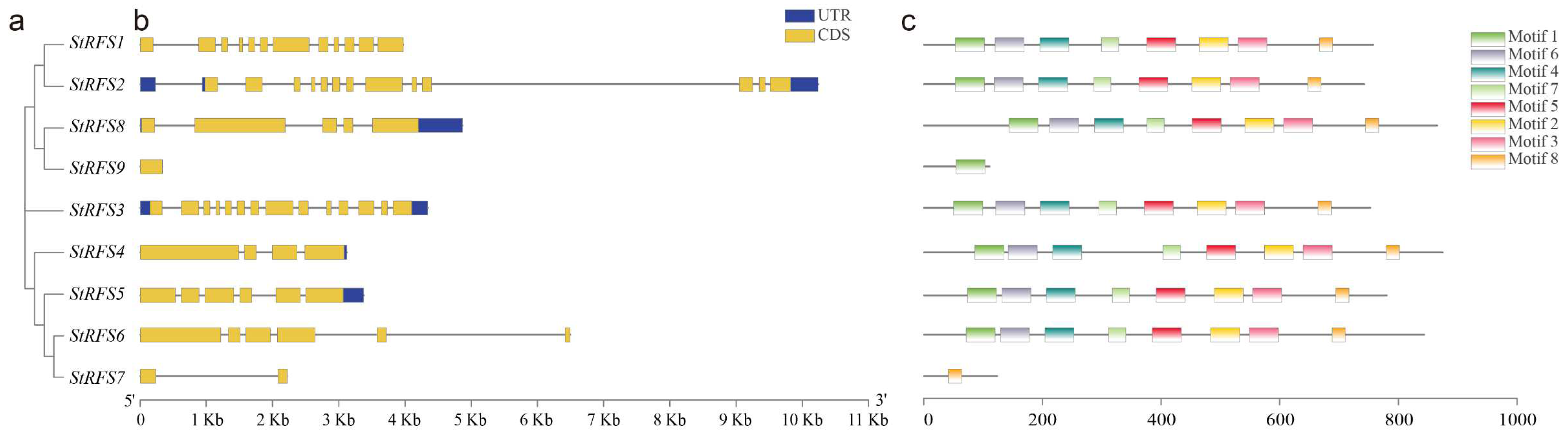 Genes 14 01344 g004